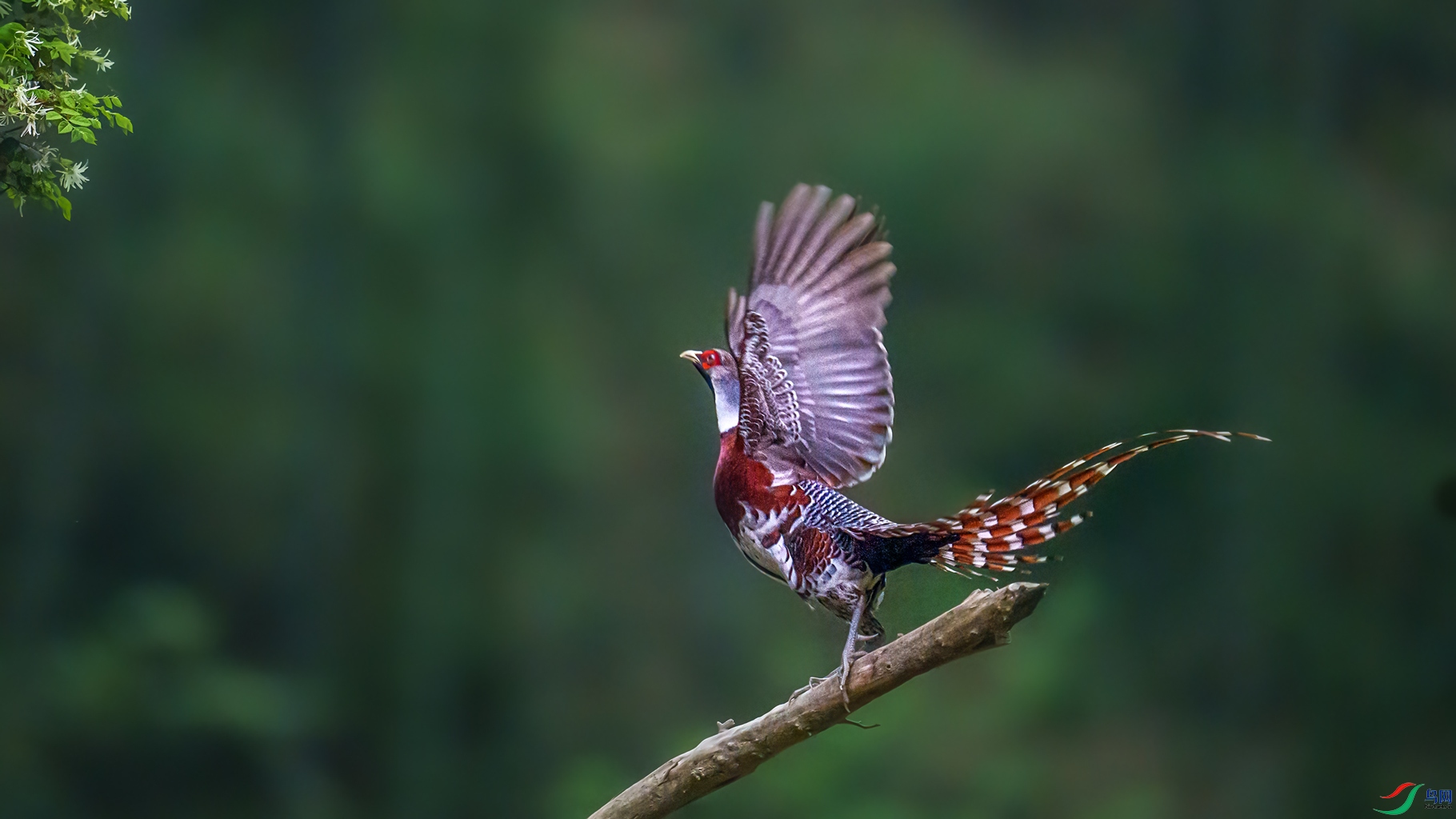 DSC06584-1.jpg