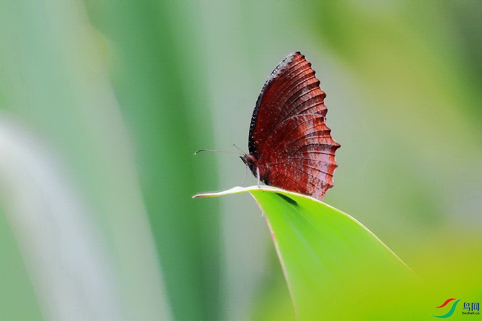 DSC_3271.JPG