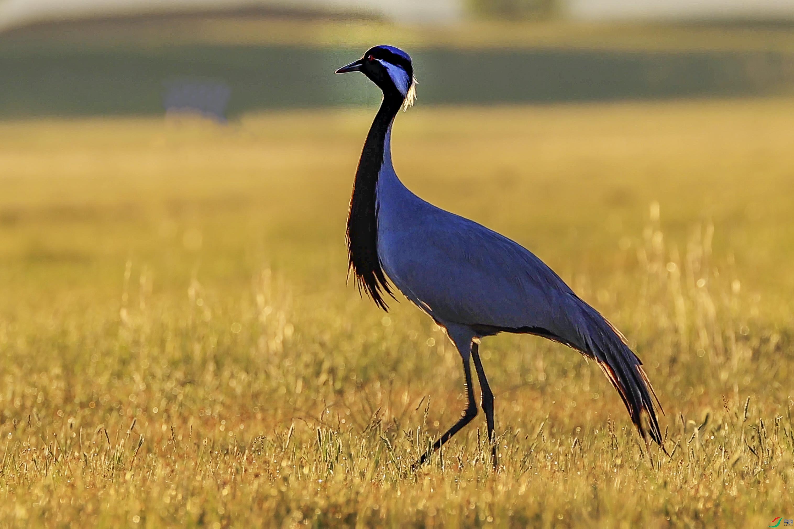 ���� 14.00_00_00_00.Still003����.jpg