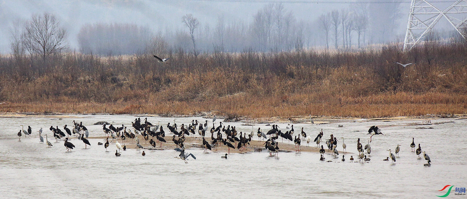 20201124XP (46-2).jpg