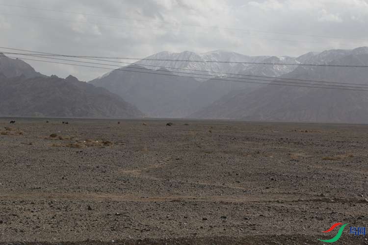 0S2A2241.JPG