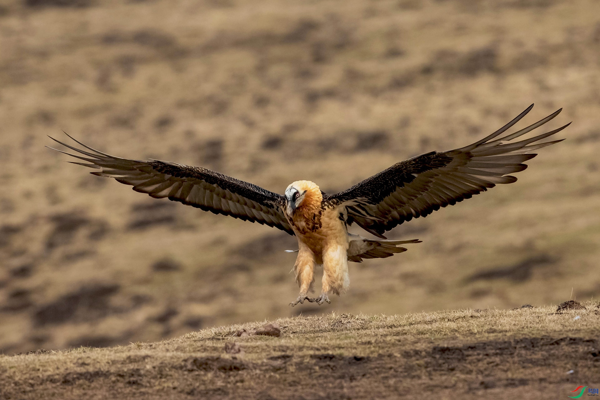 AO4I7619-2 ����.jpg