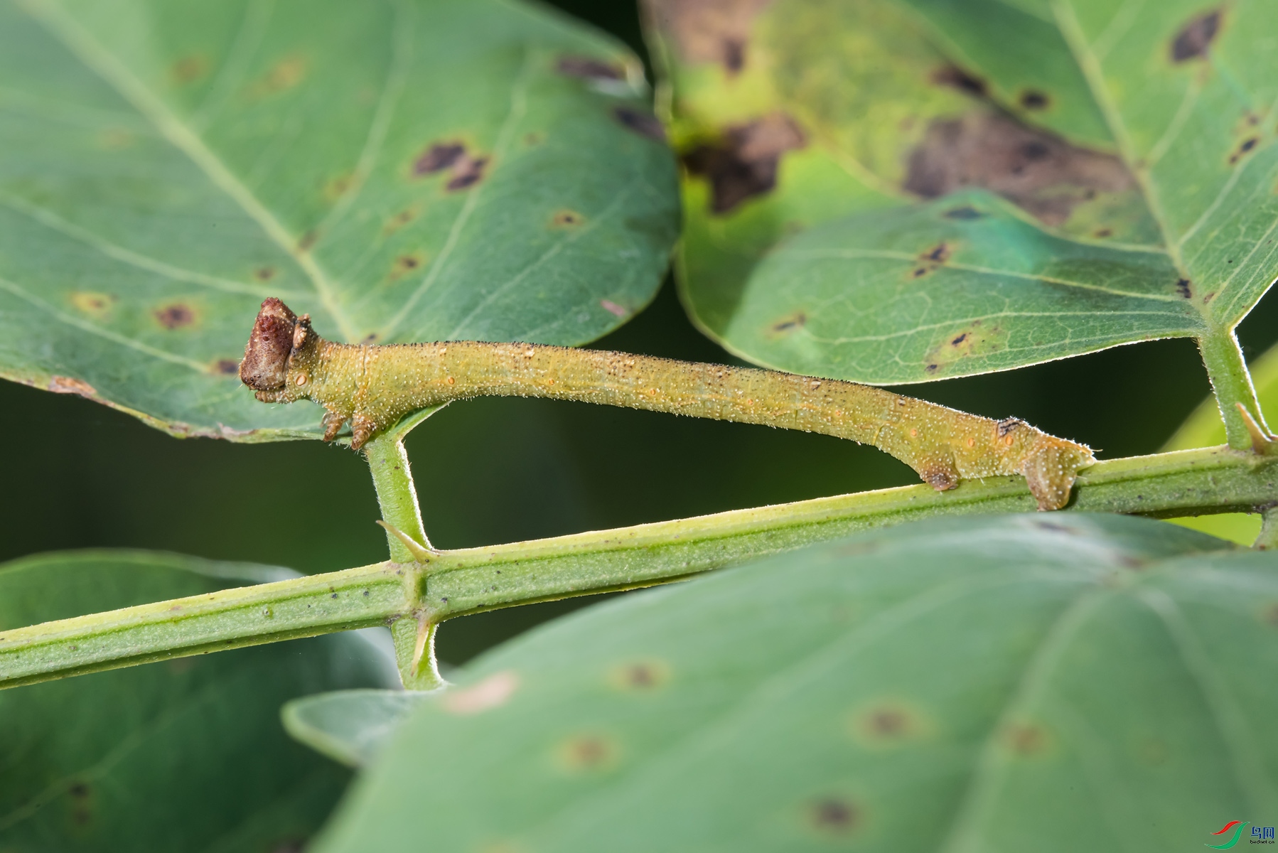 DSC_5777_x.jpg