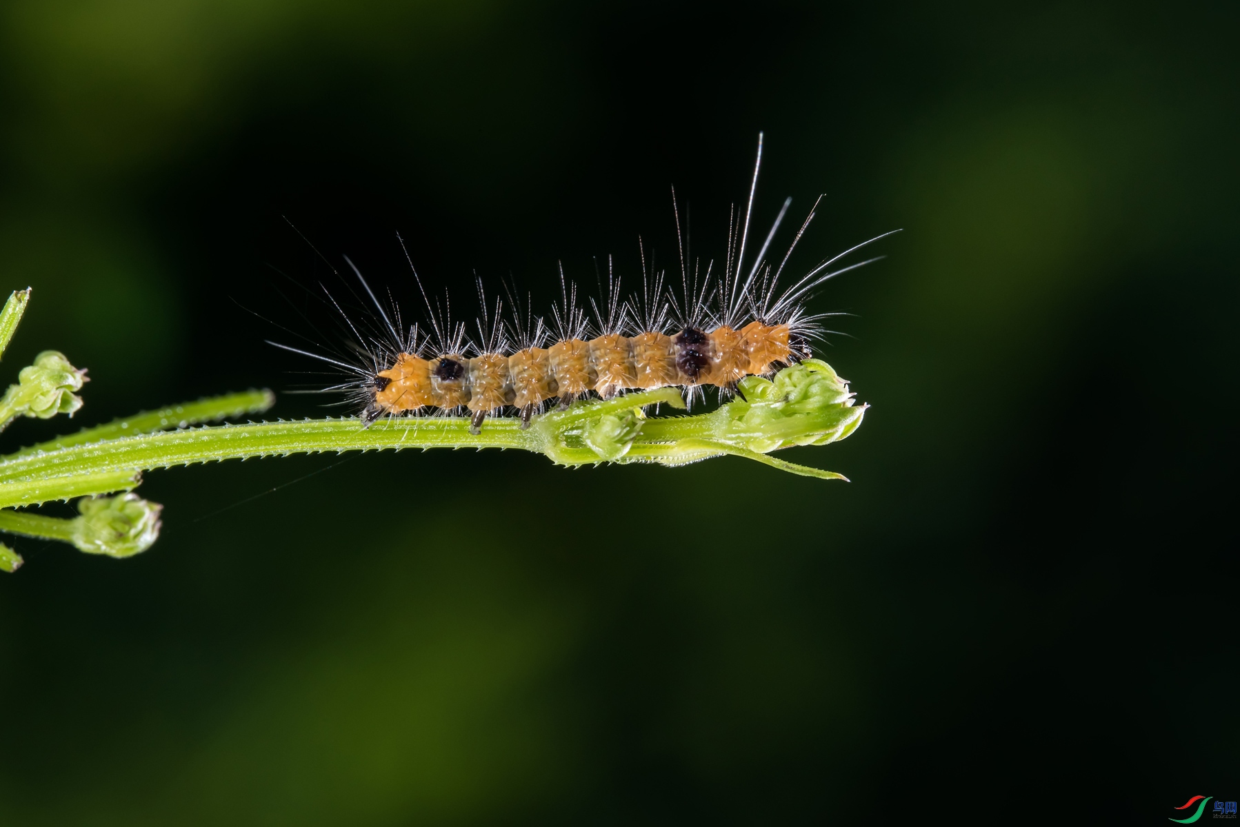 DSC_5806_x.jpg