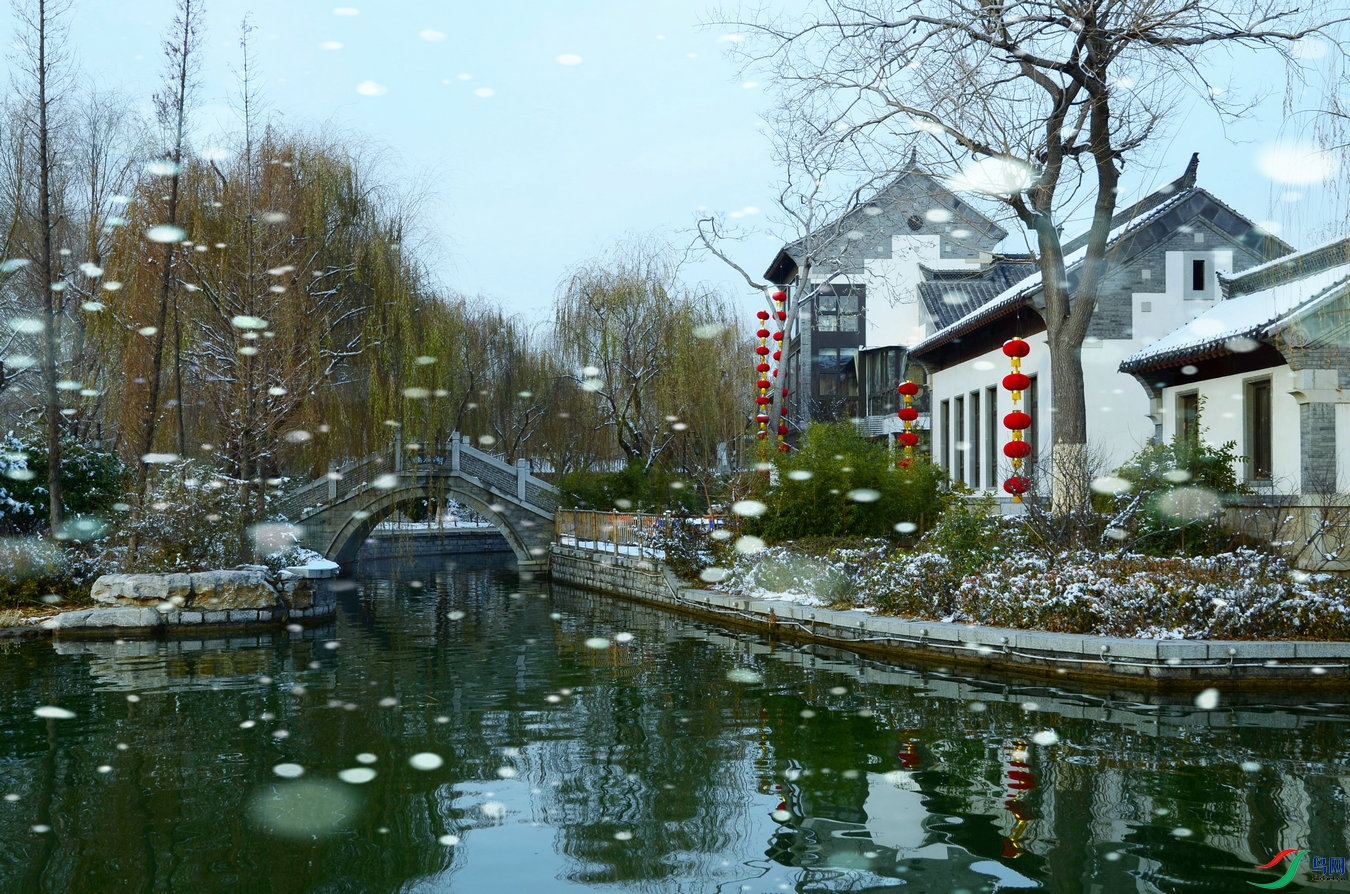 DSC_6606.JPG