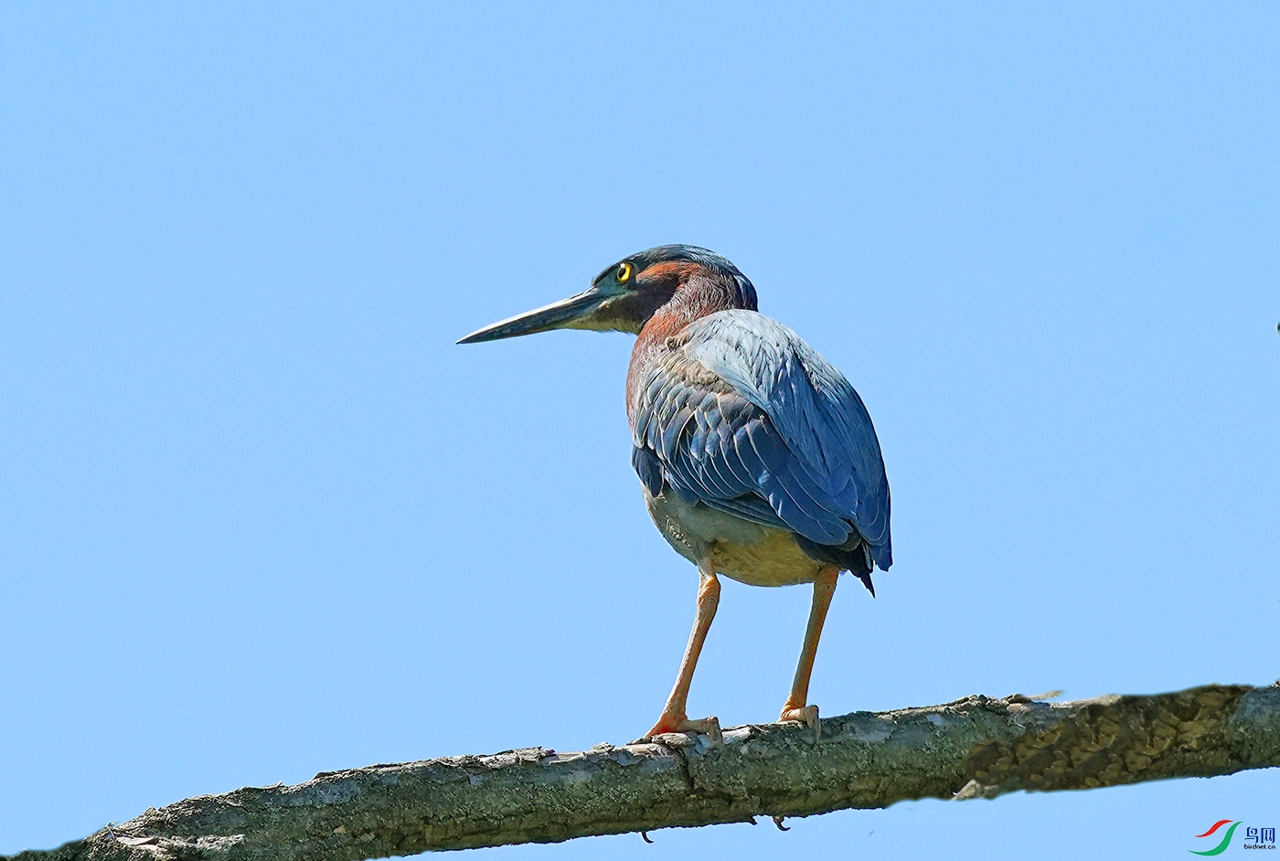 DSC09608----.jpg