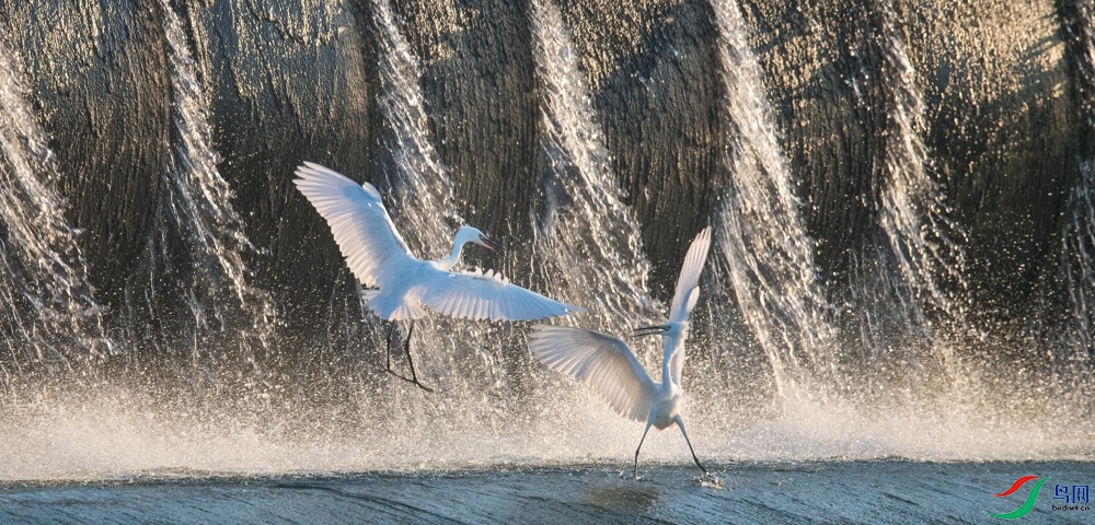 DSC_8526.jpg