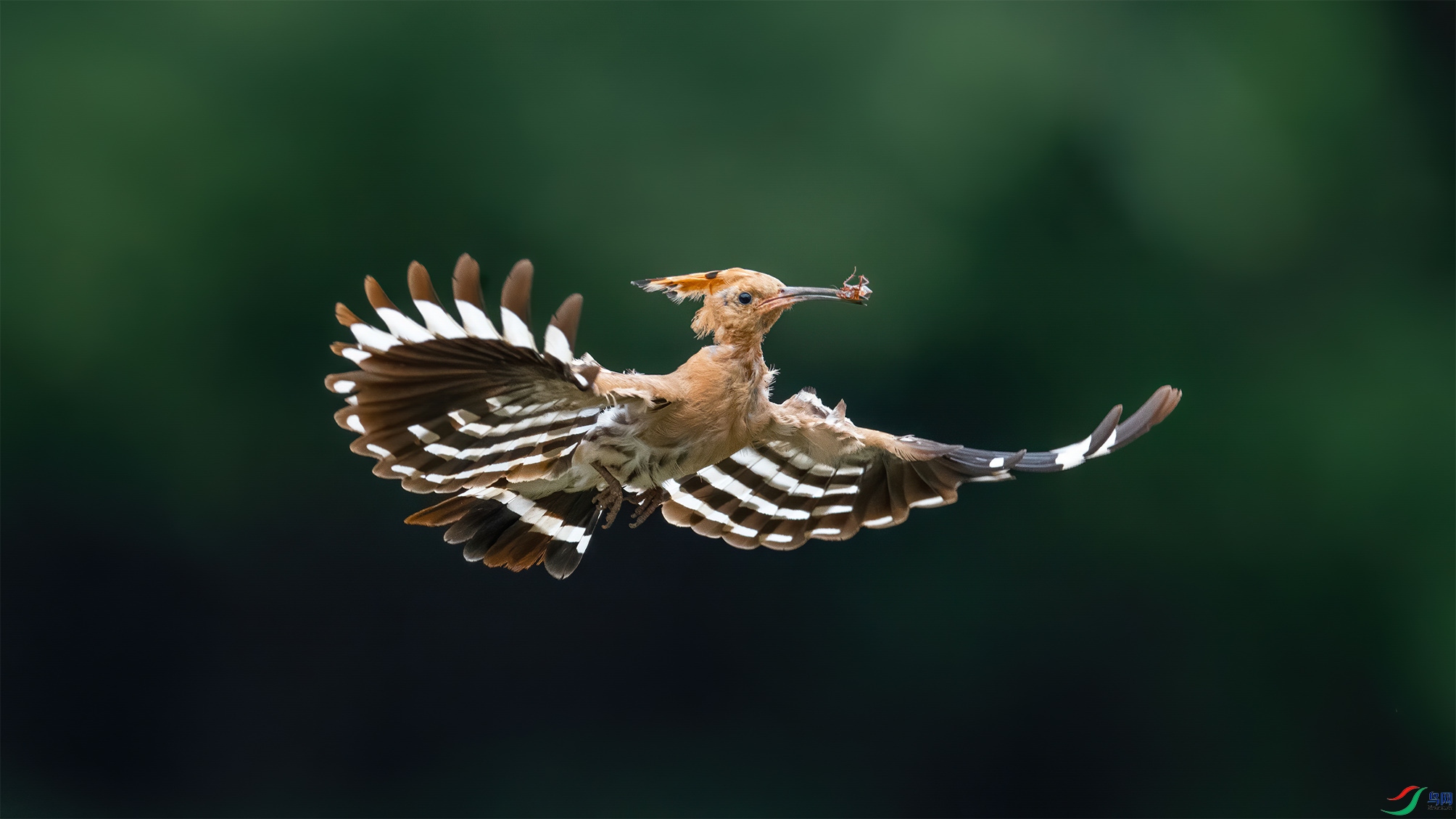 DSC_4592 �ϴ� ���ձ�����.jpg