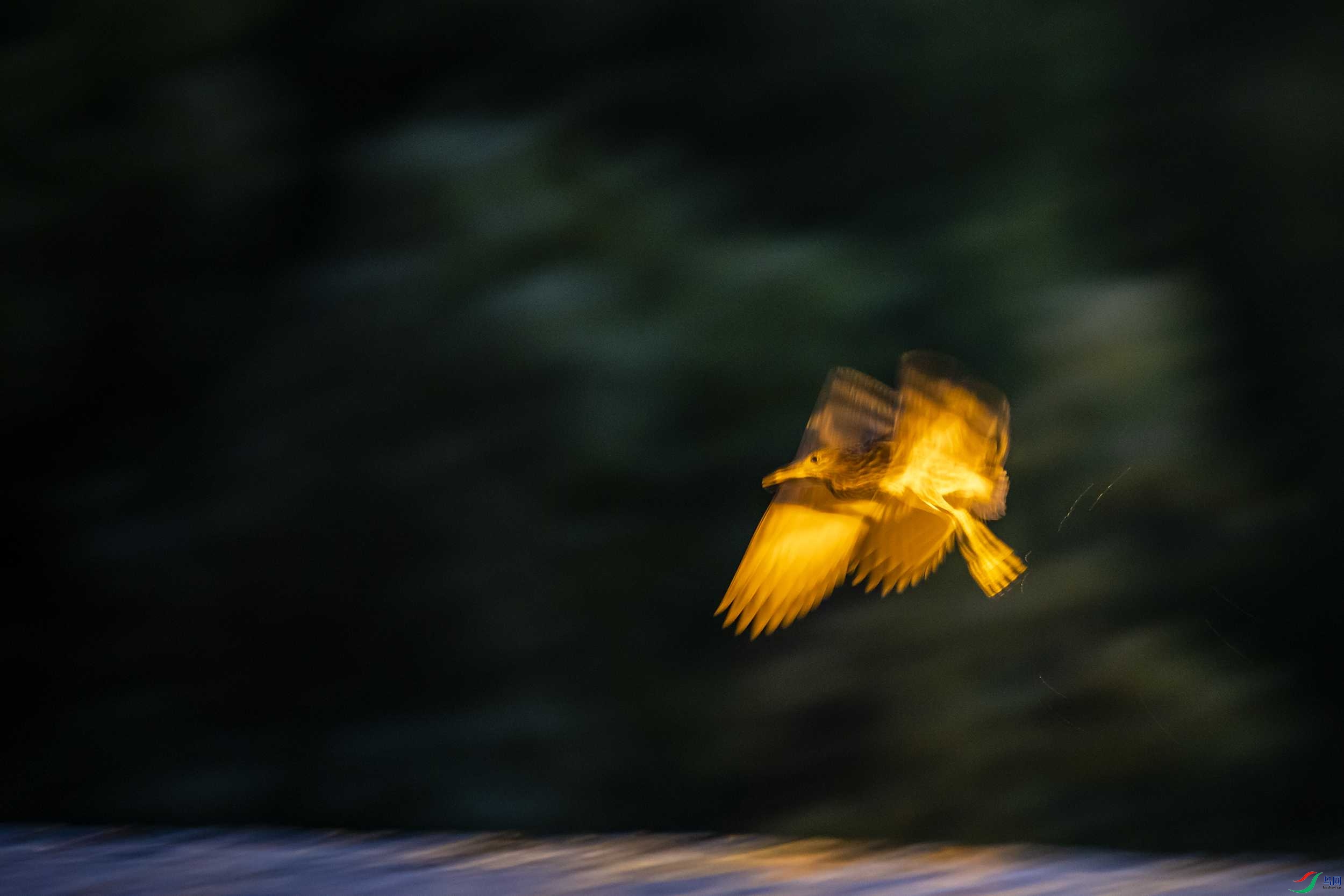 278A9784 ����.jpg