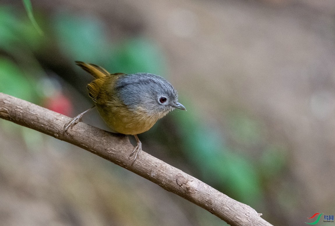 DSC_1959.jpg
