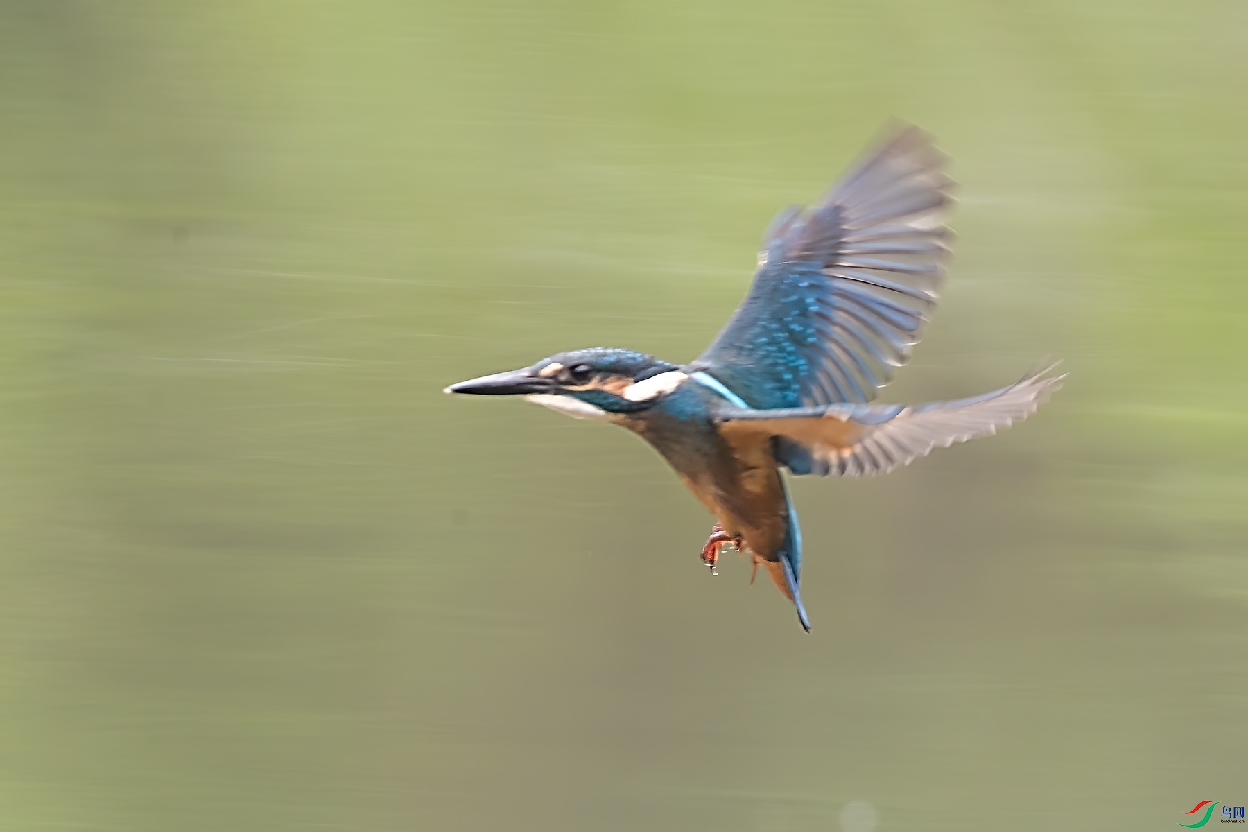 D5W_0418-1.jpg