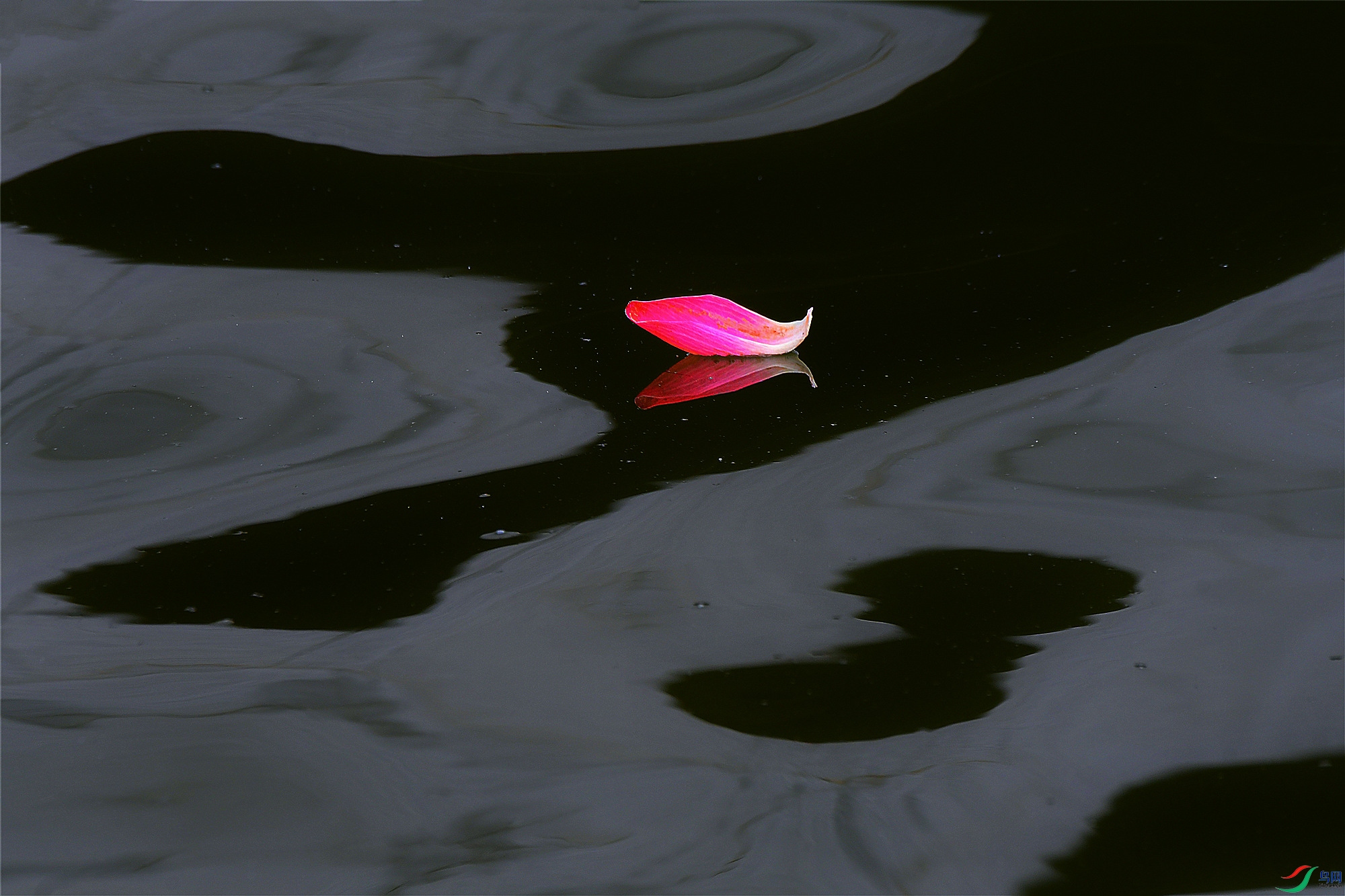 DSC_1959.JPG