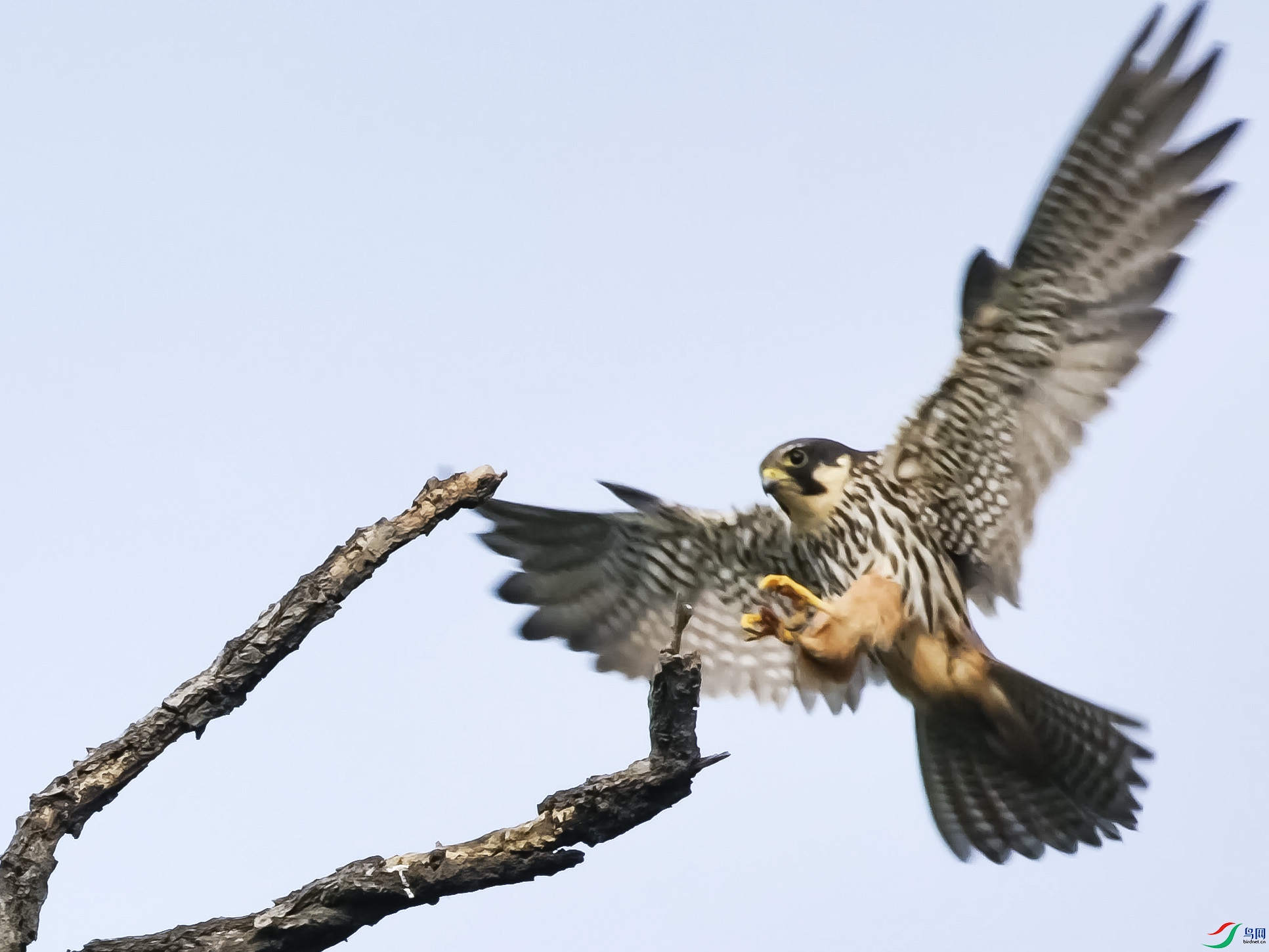 ���� 14.00_00_00_00.Still007����.jpg