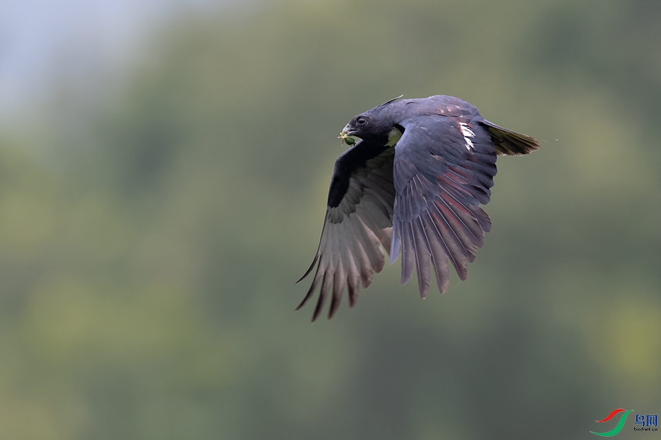 DSC_8220_DxOa.jpg