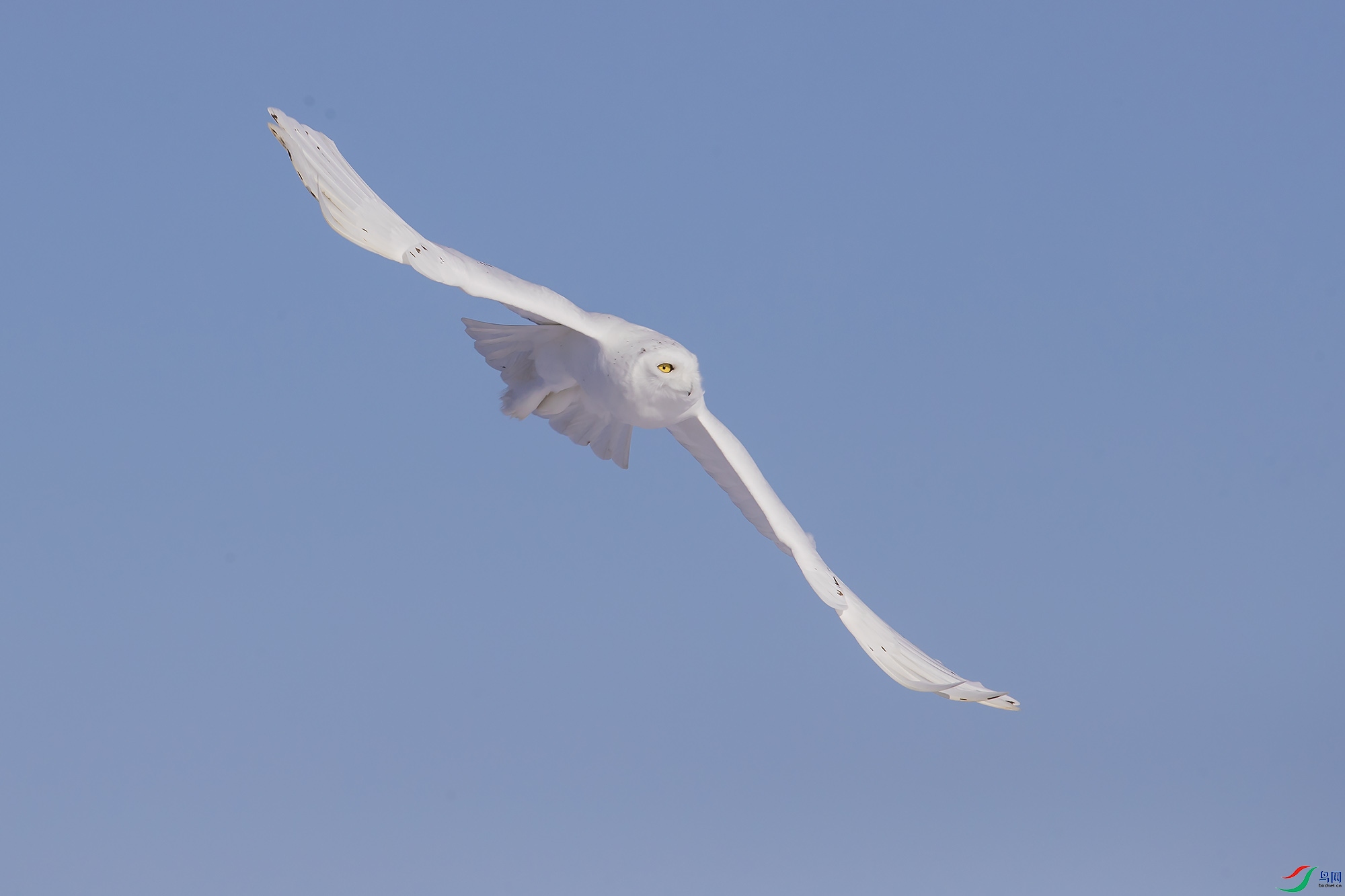 AR2I9416.psd-1.jpg