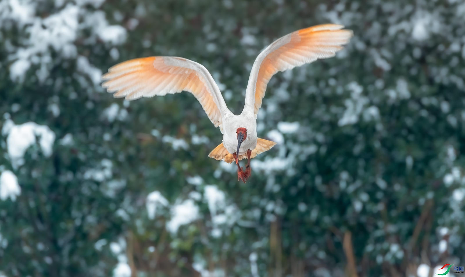 DSC_9700-3.jpg