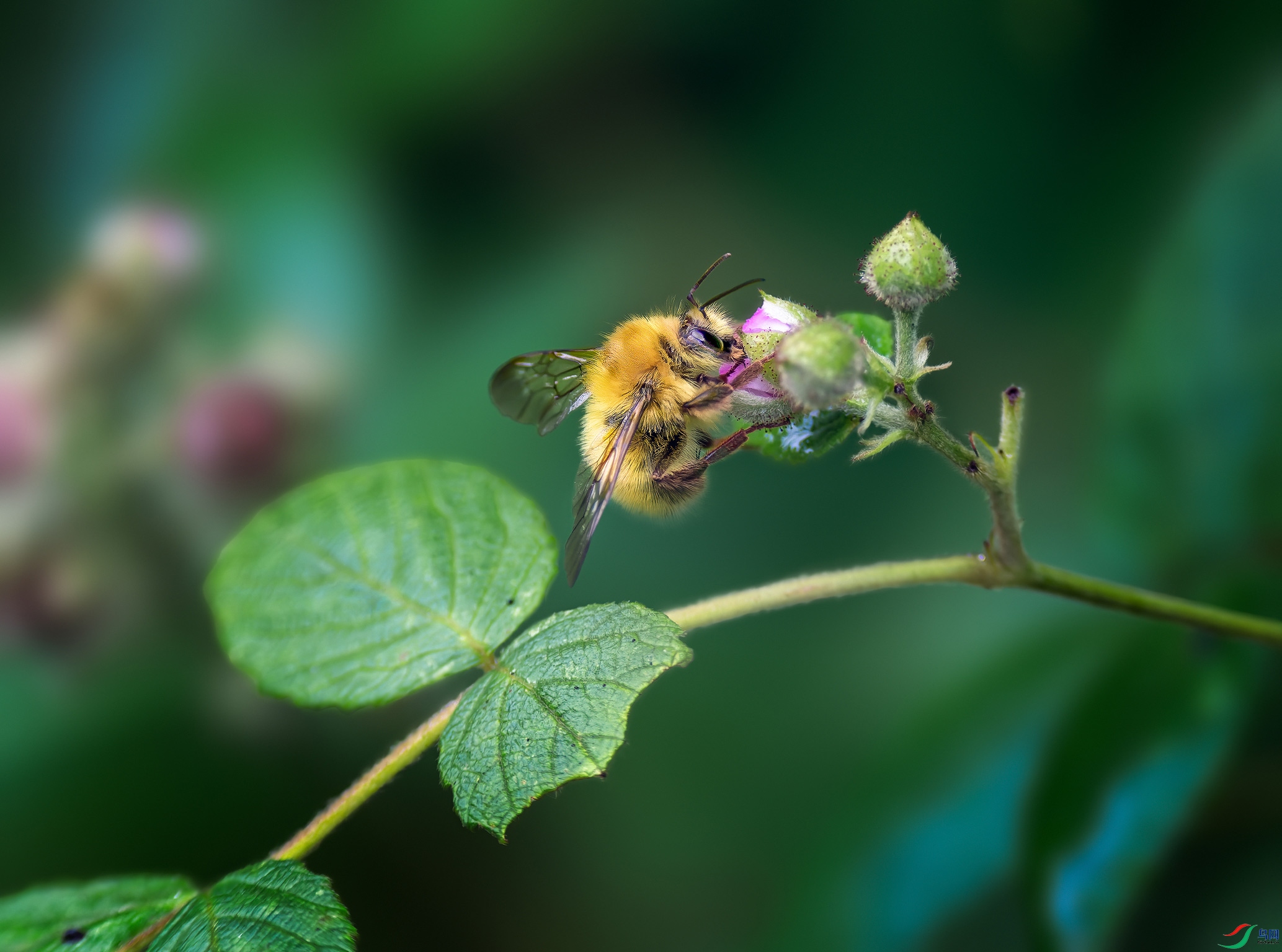 _DSC9678-NEF_DxO_DeepPRIME-��������.jpg
