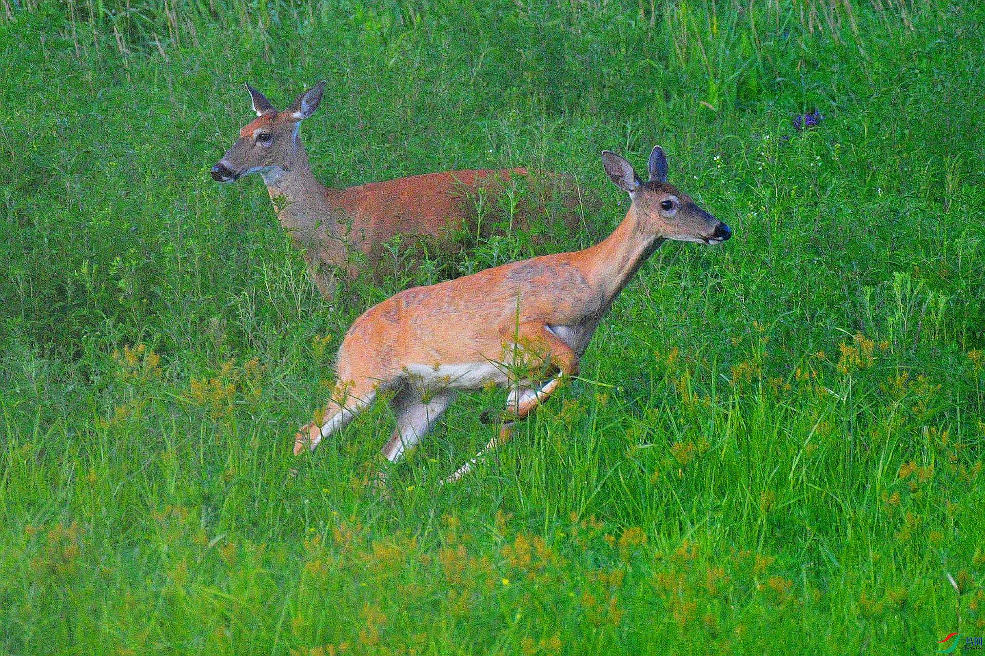 DSC_3898_����.jpg