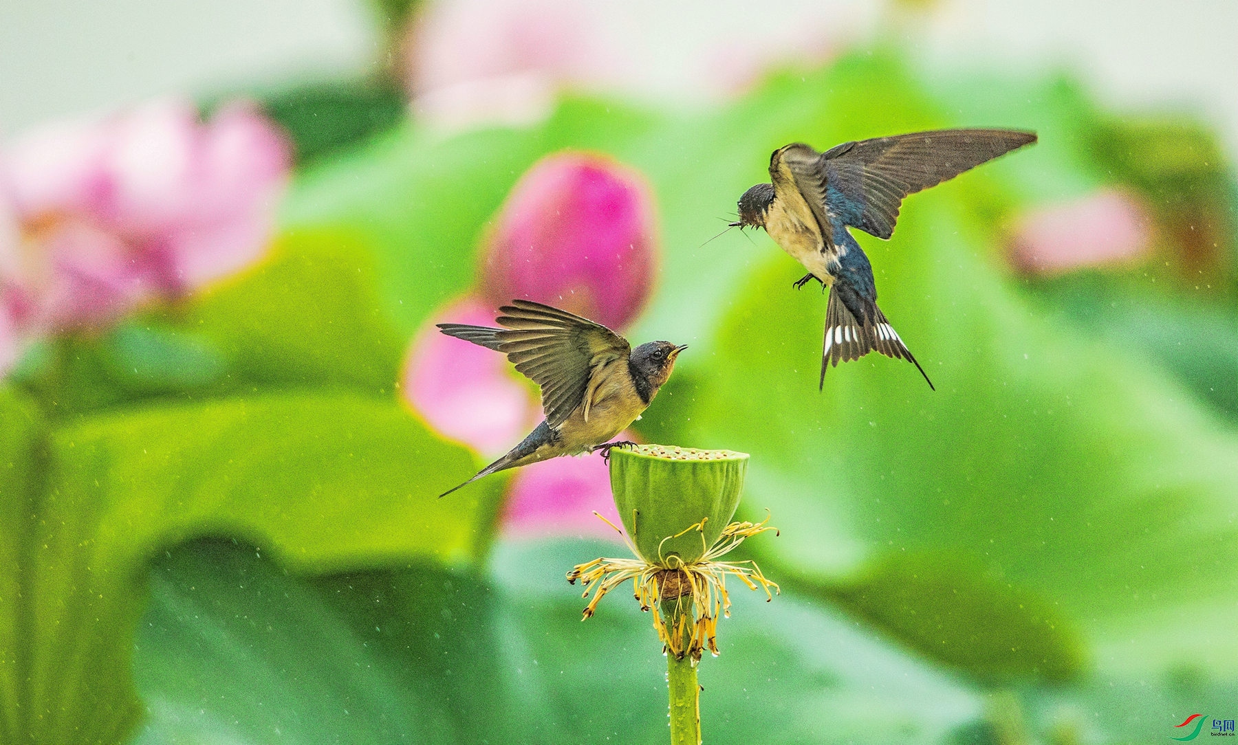 ������ (3).jpg