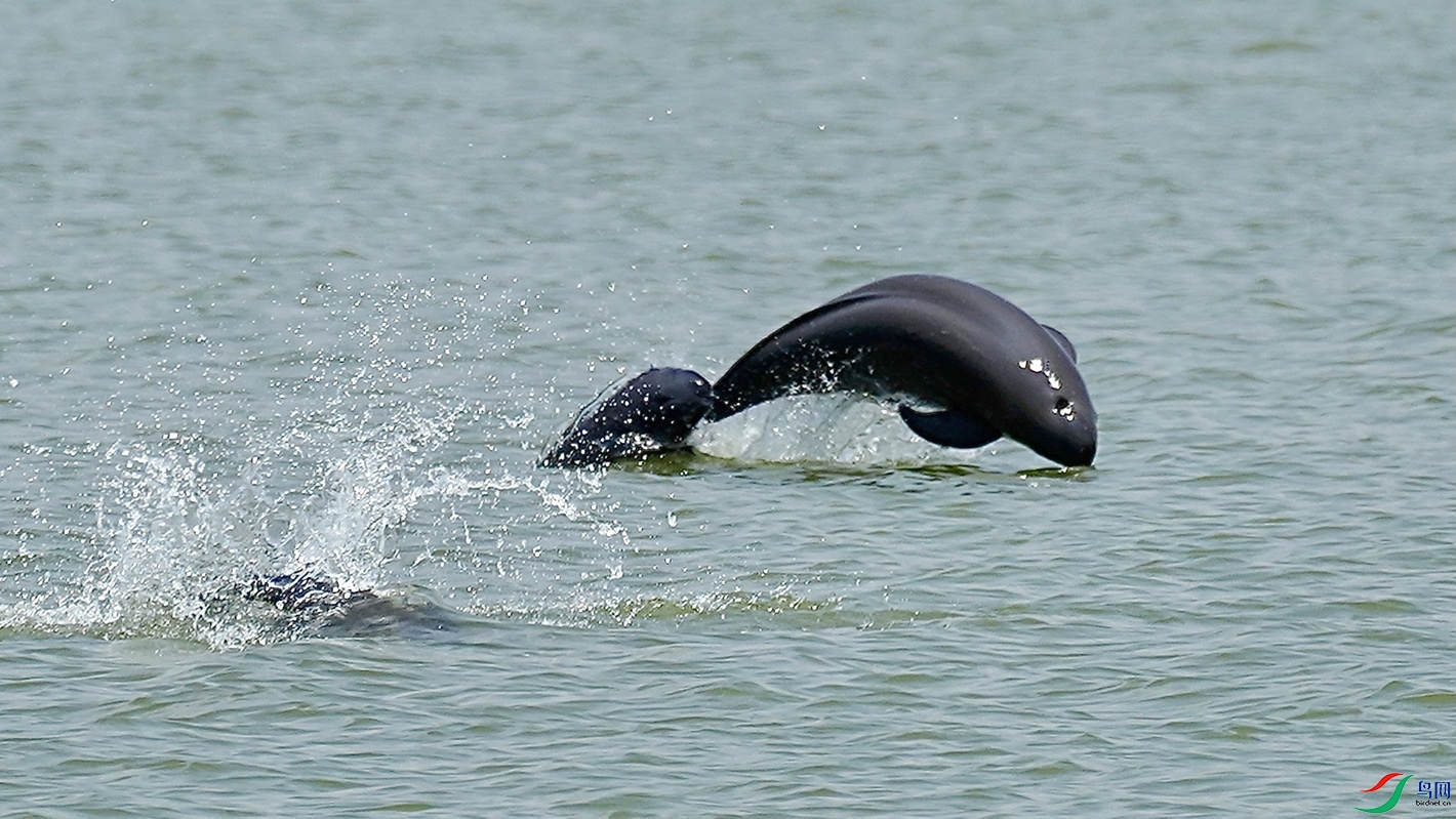 ĸ����ԾϷ����