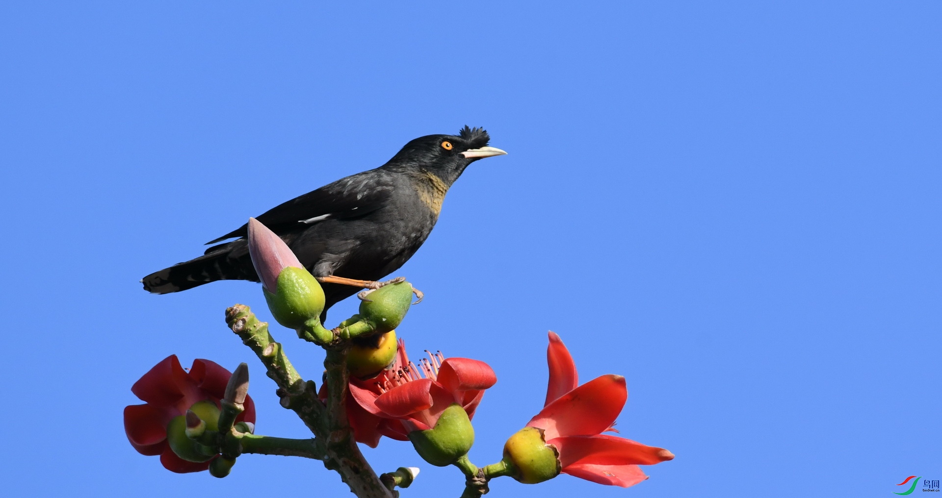 DSC_9780.JPG
