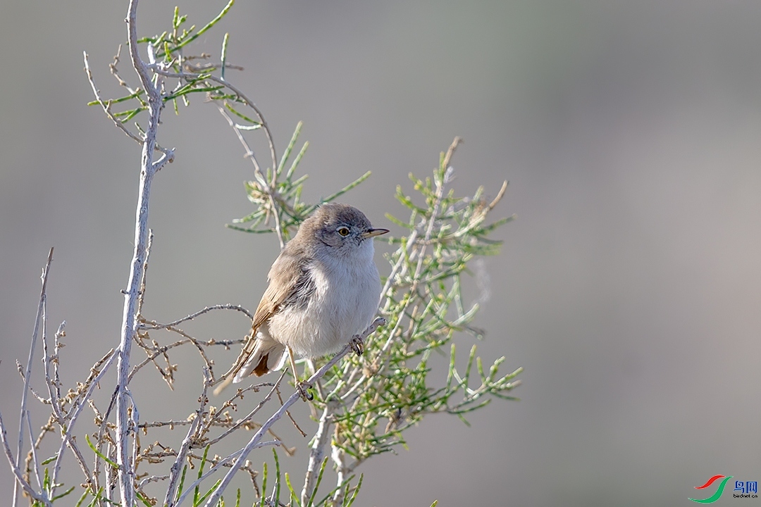 ��������  ��ʦ�������½�ά������������ǵ���������.jpg