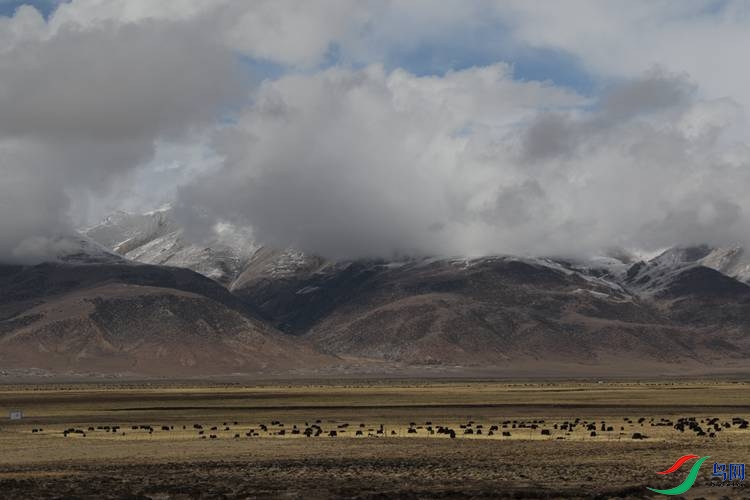 0S2A2143.JPG