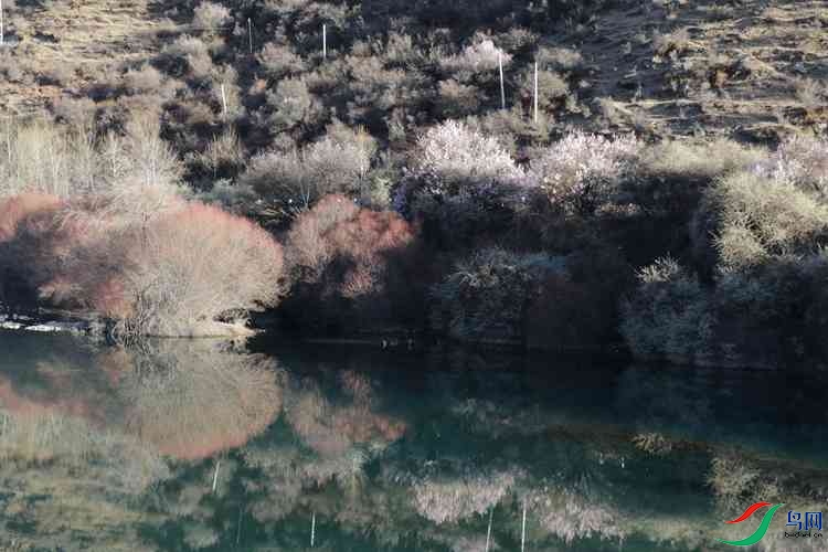 0S2A1943.JPG