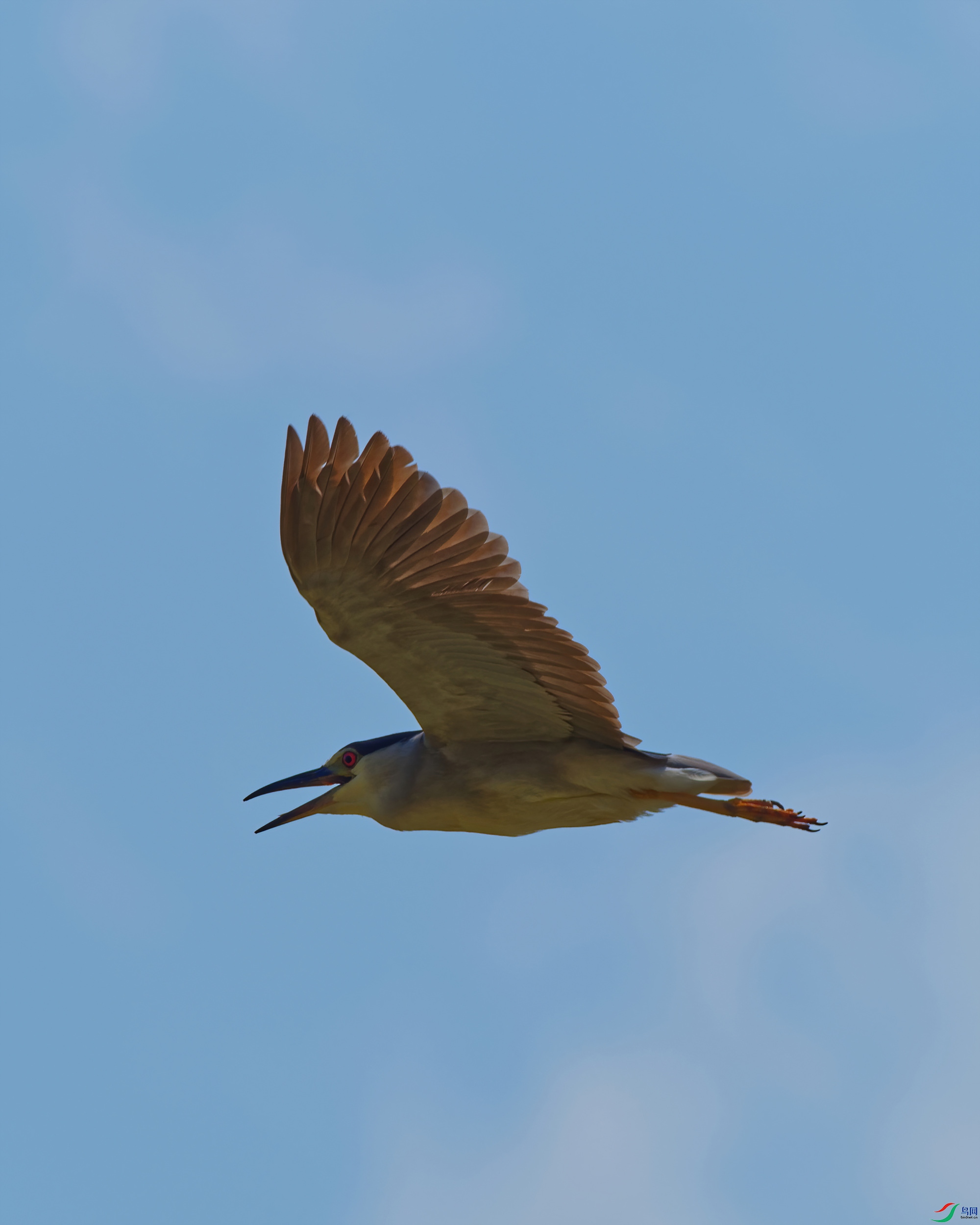 P7250512_DxO-d2.jpg
