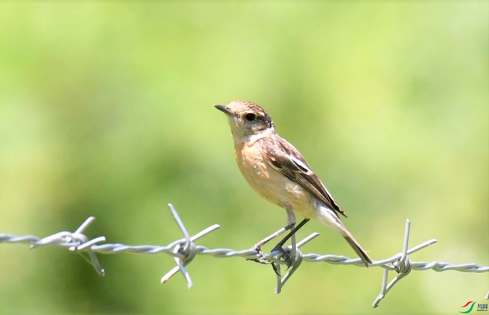 �׺�ʯ �� ��Դ���������� (2).JPG