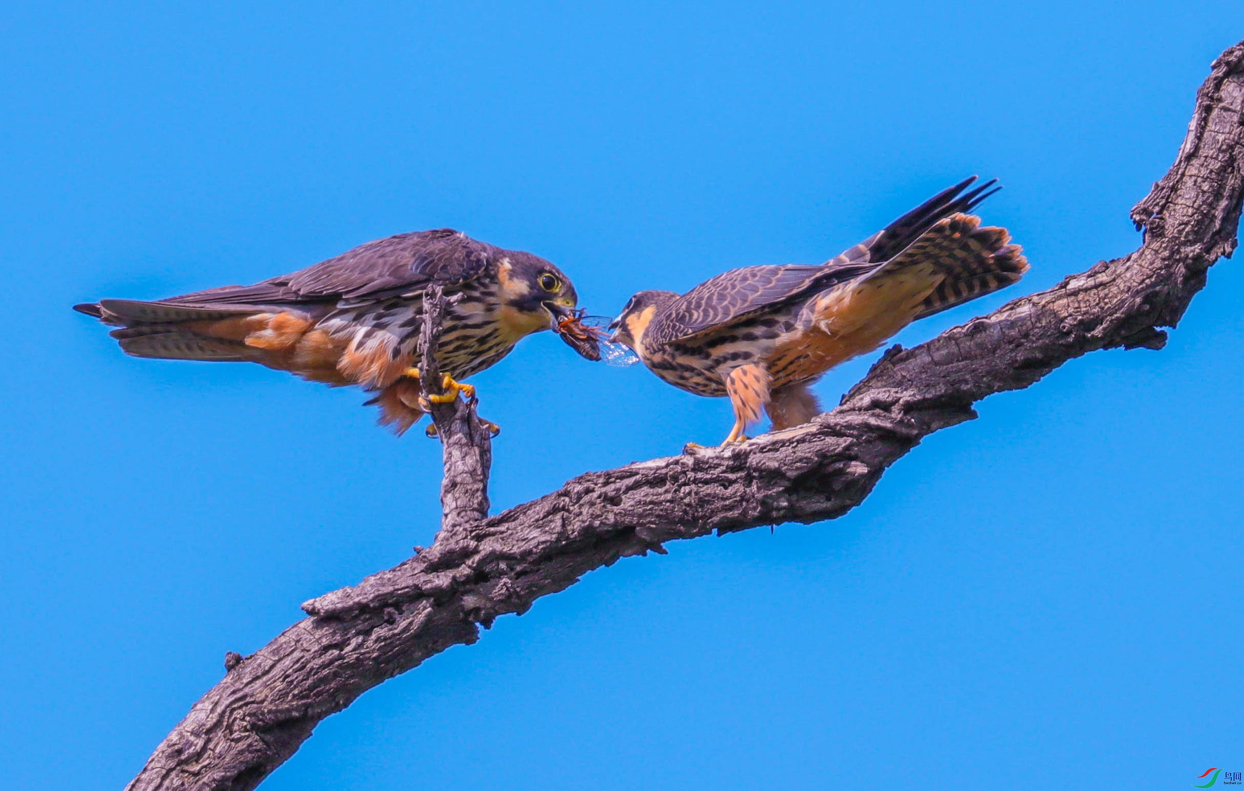 ����20 (1 - 1).jpg