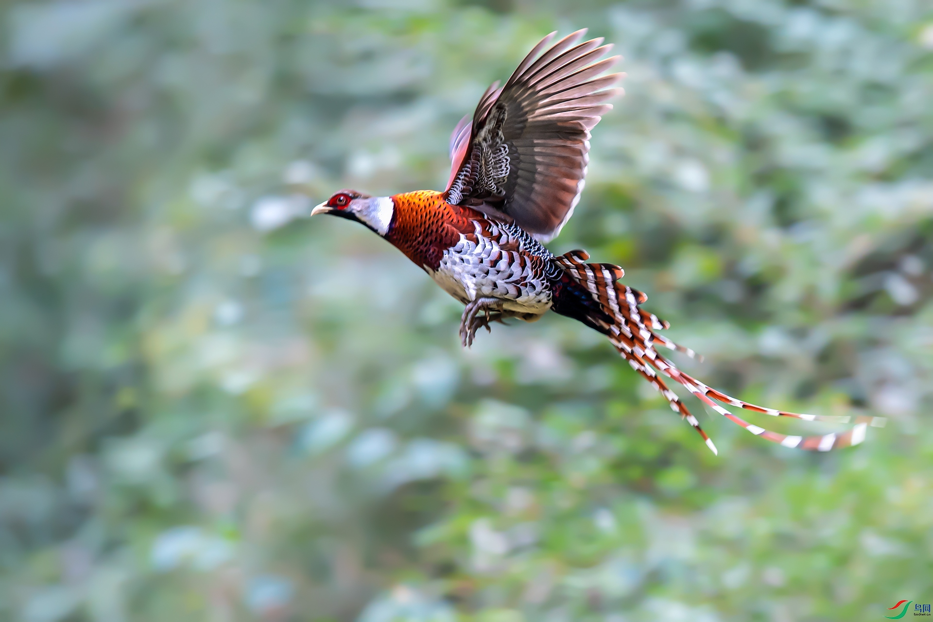 20210811��Խ (2).jpg