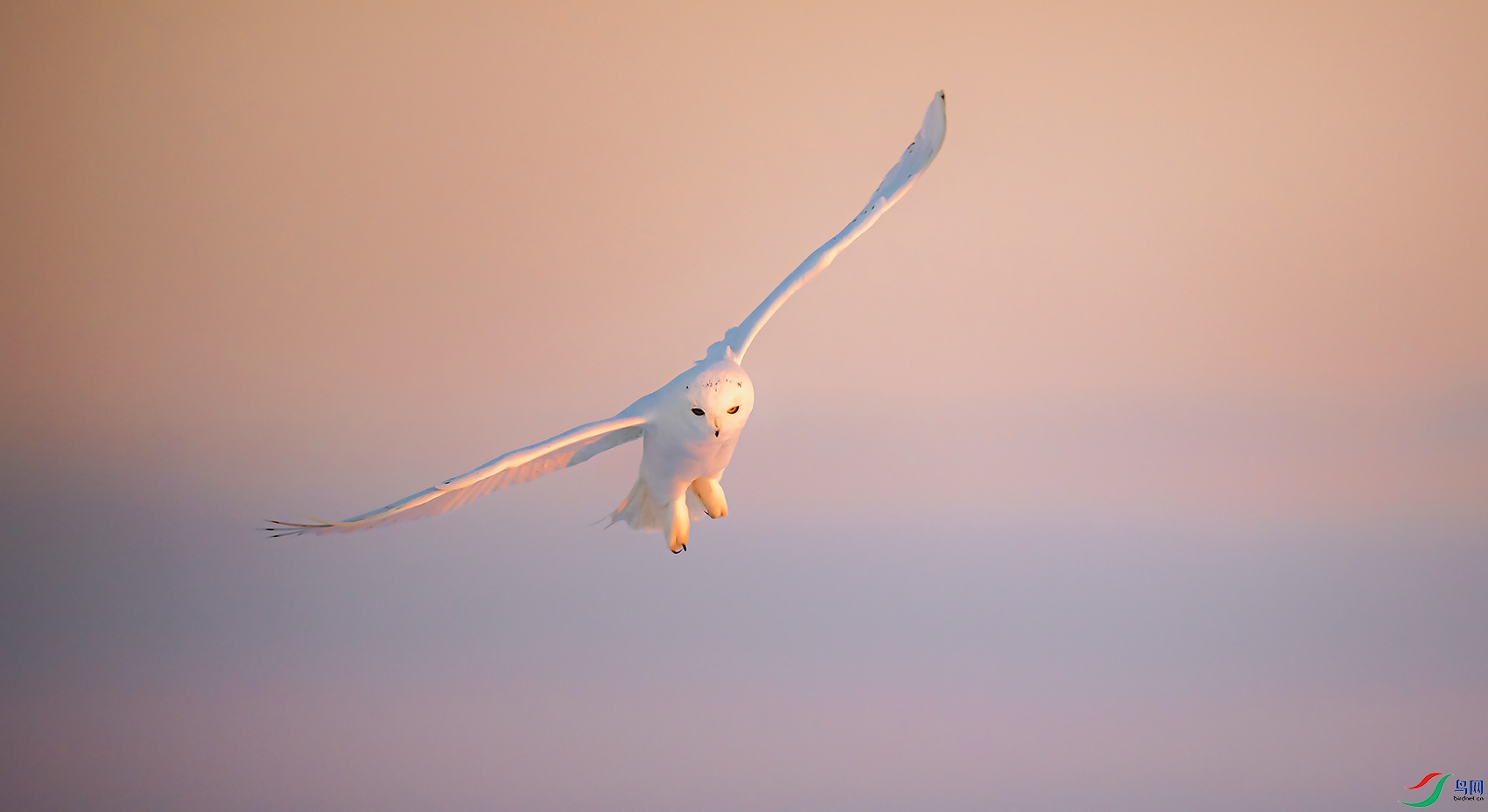 _DSC2394==1.xjpg.jpg
