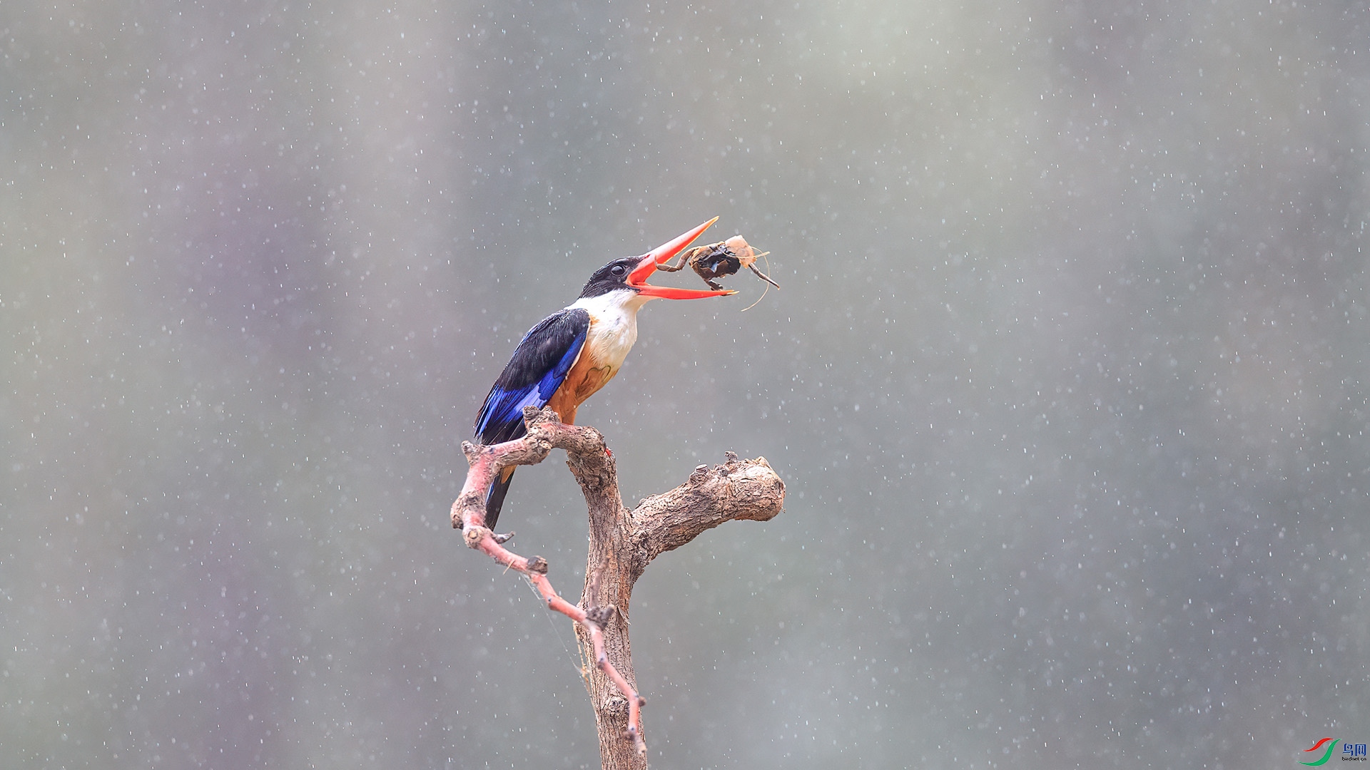 1DX_8322 ���� 2.jpg