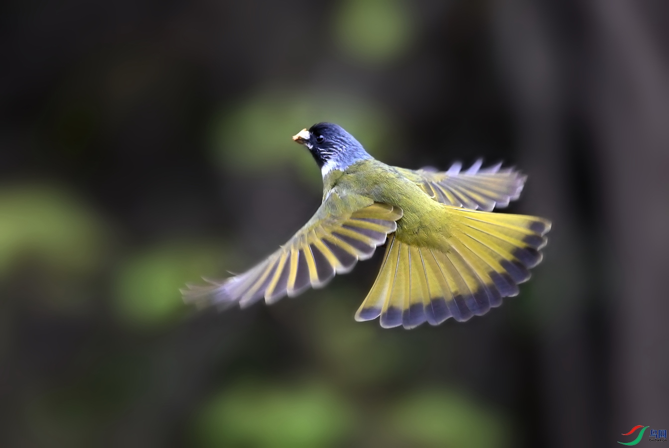 DSC_7516.jpg
