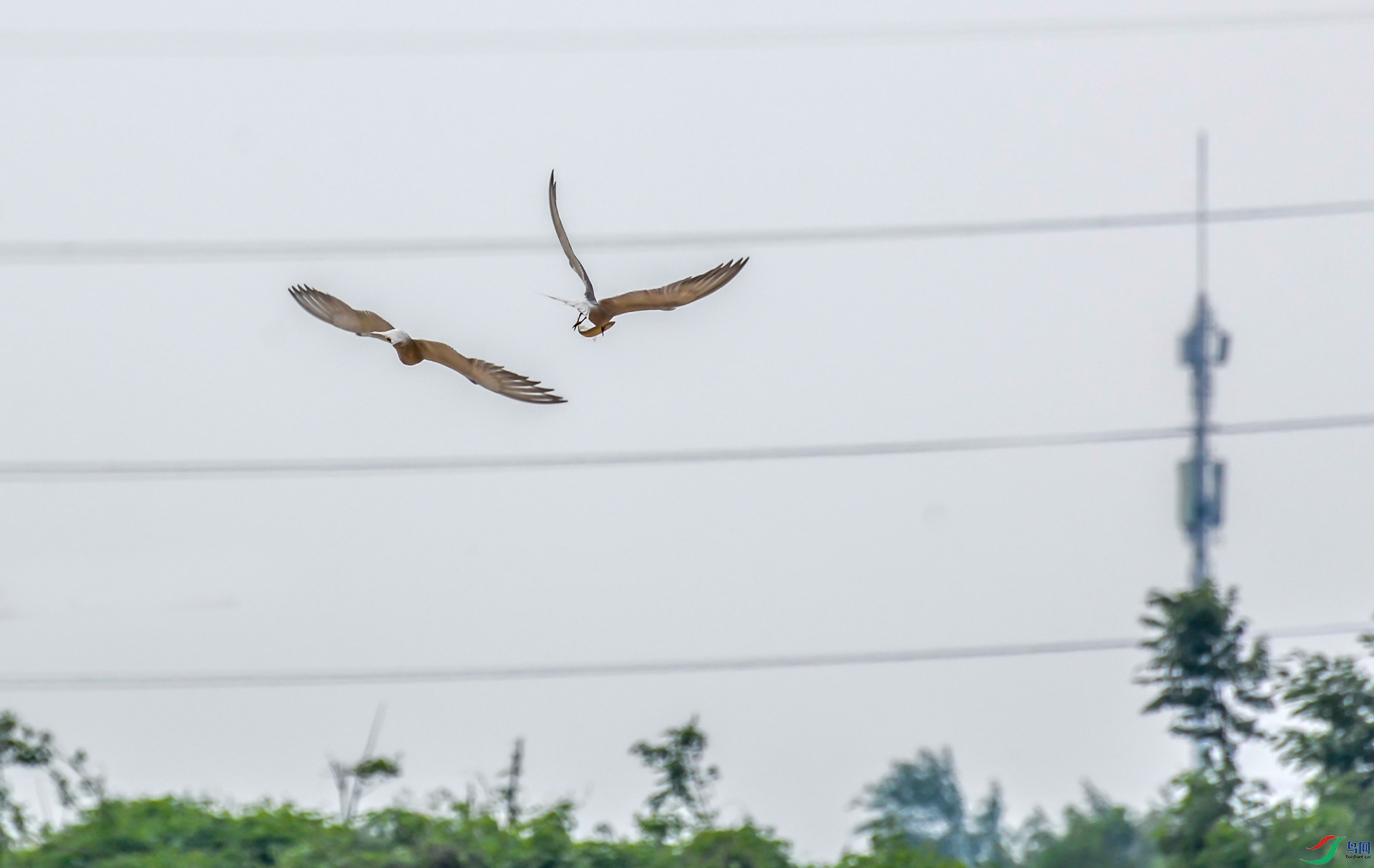 DSC_6546.jpg
