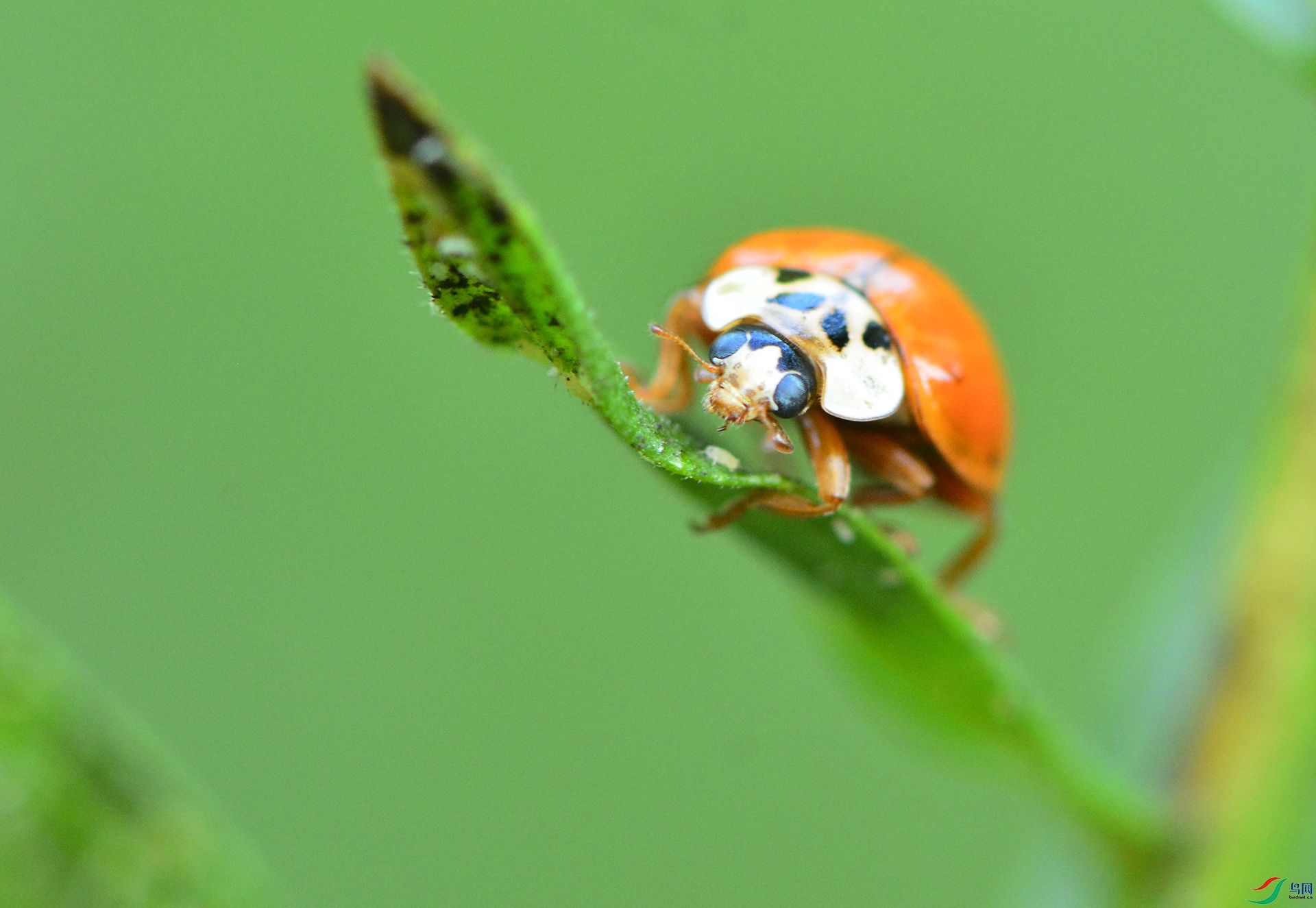 ������Ӱ 4579����.jpg