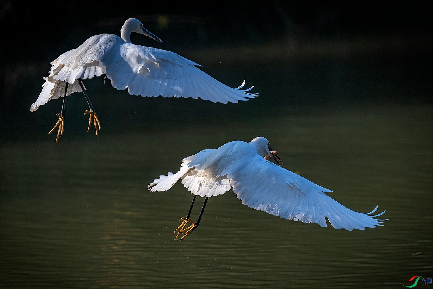 DSC_0326-2.jpg