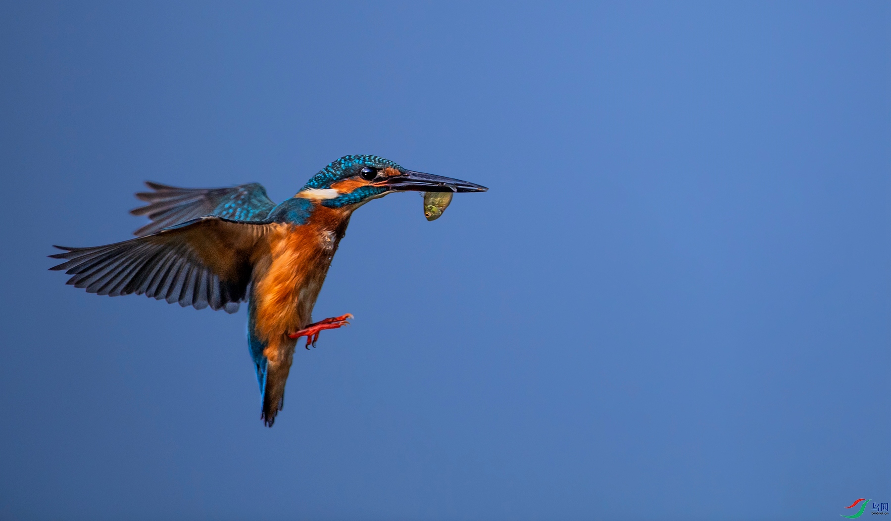 DSC_1888.jpg
