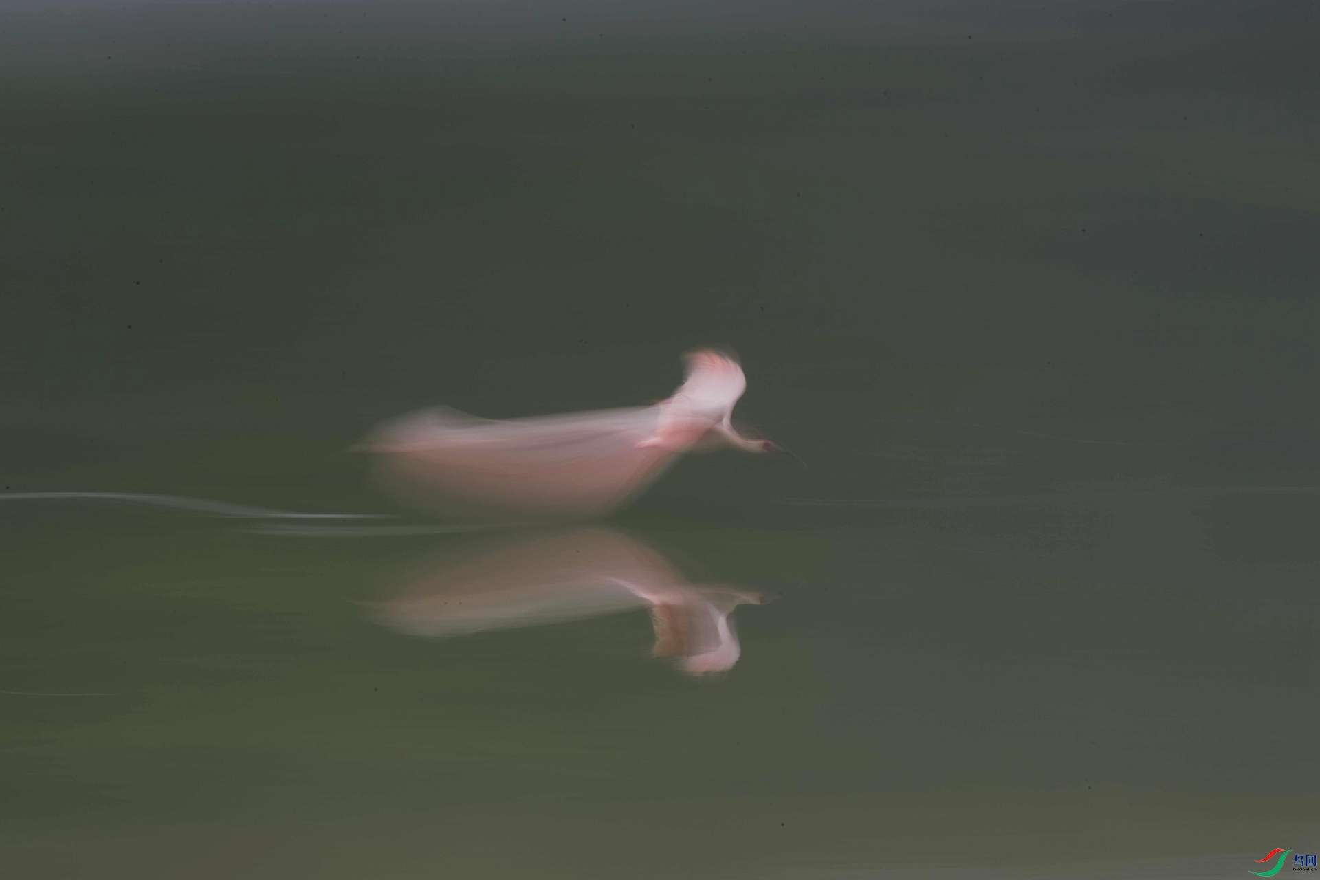 DSC_7079-Exposure_����.jpg