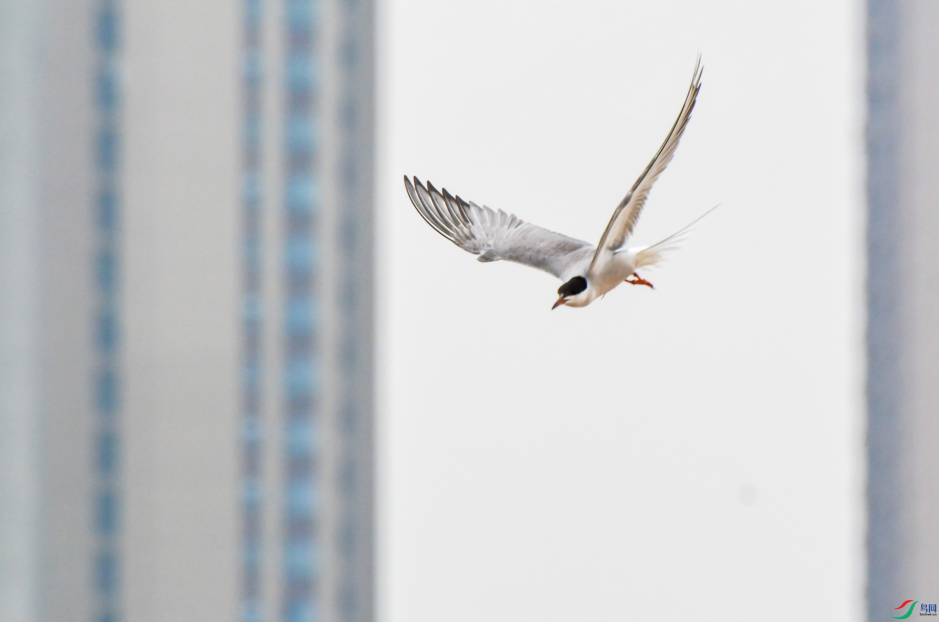 DSC_5731.jpg