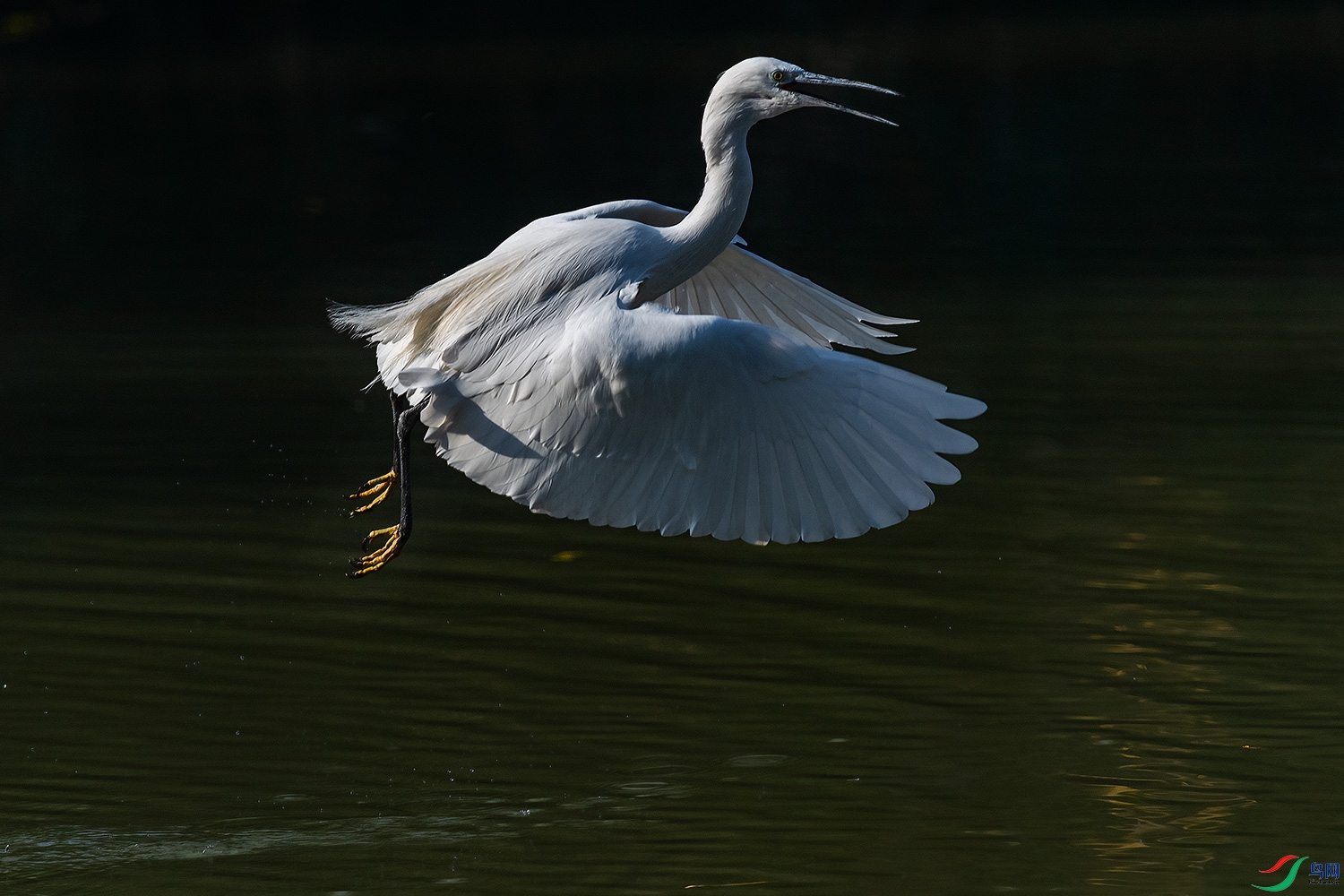 DSC_0347-2.jpg