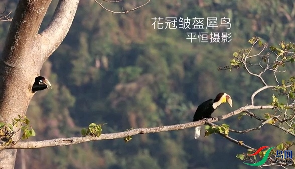 Videoframe_20210812_213312_com.huawei.himovie_edit_686825271793112.jpg