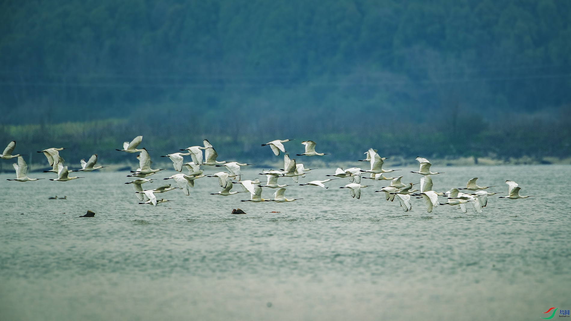 IMG_8156.jpg