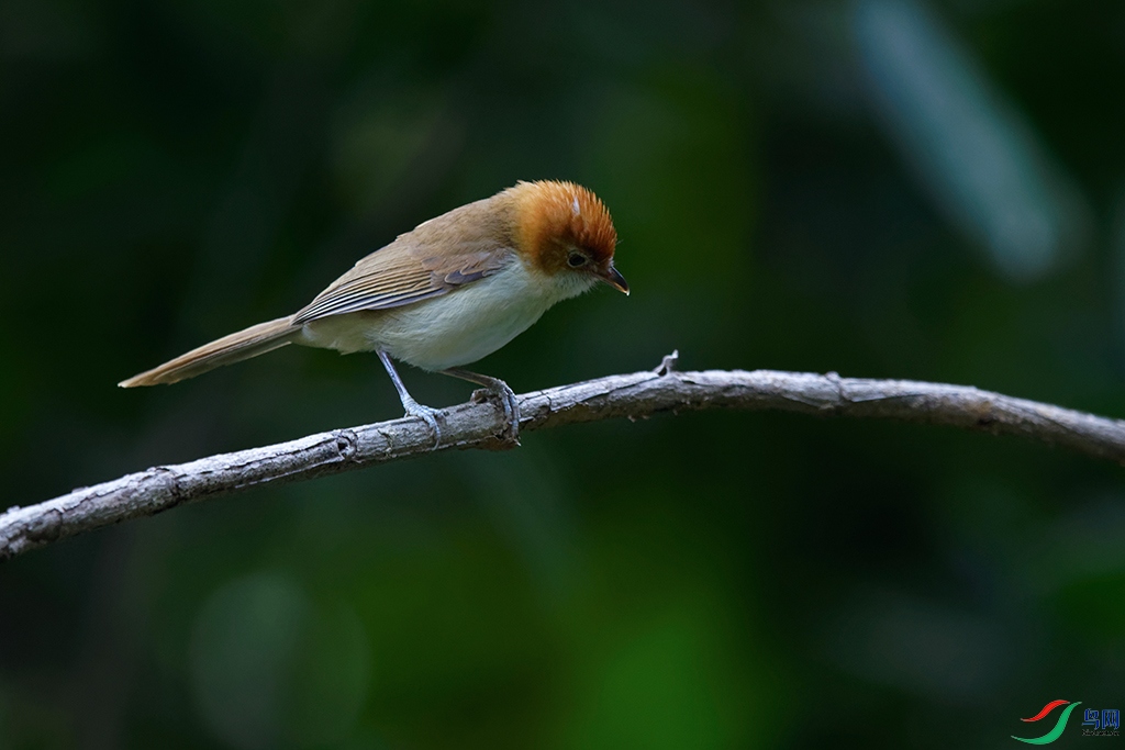 5DSC_6097_DxOa.jpg