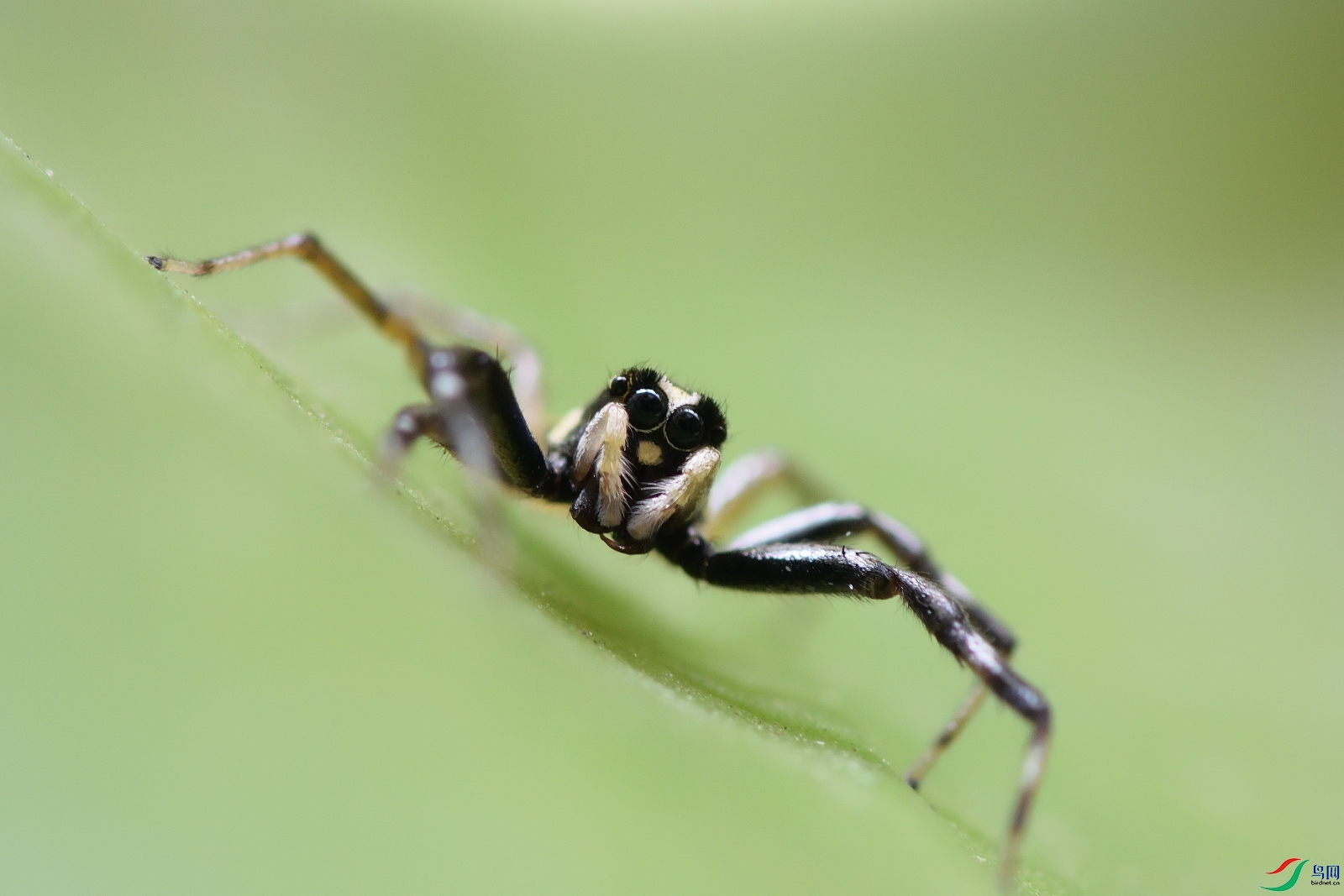 DSC_5447_00002.jpg