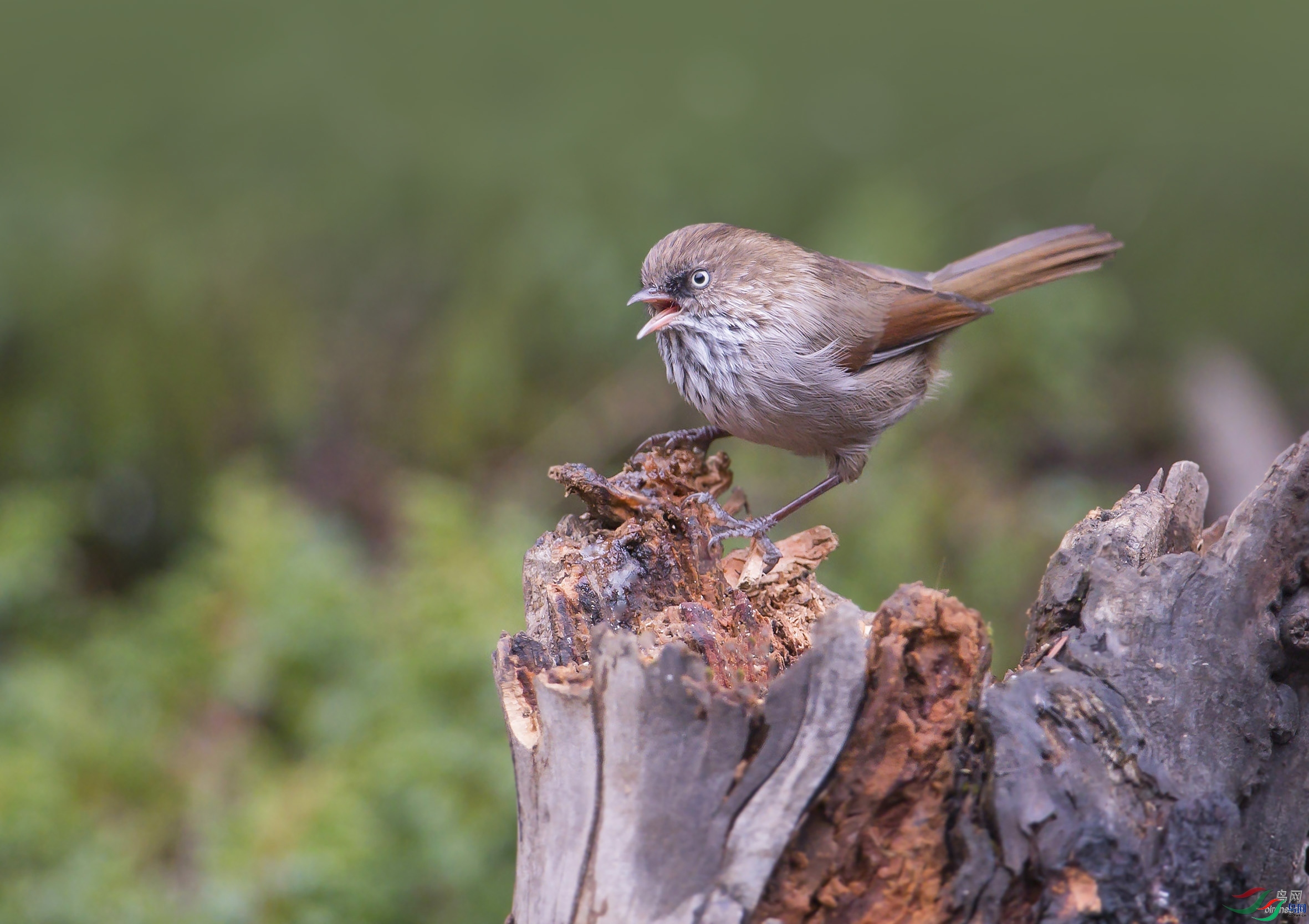 С�����  ��ʦ����.jpg