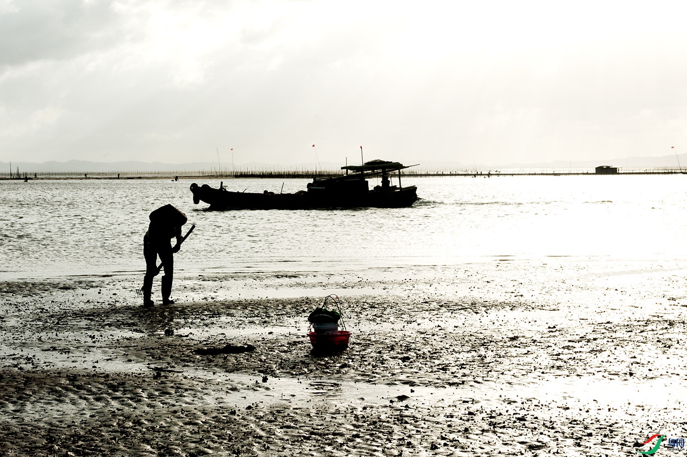 DSC_8666.jpg