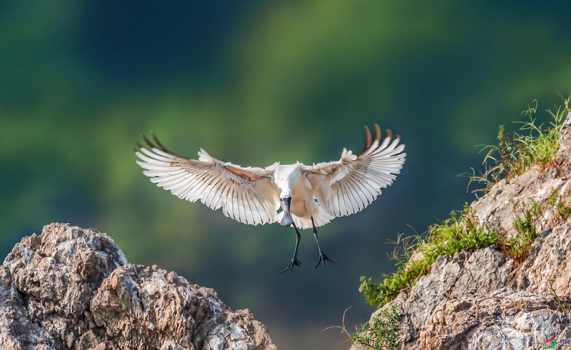 ��������