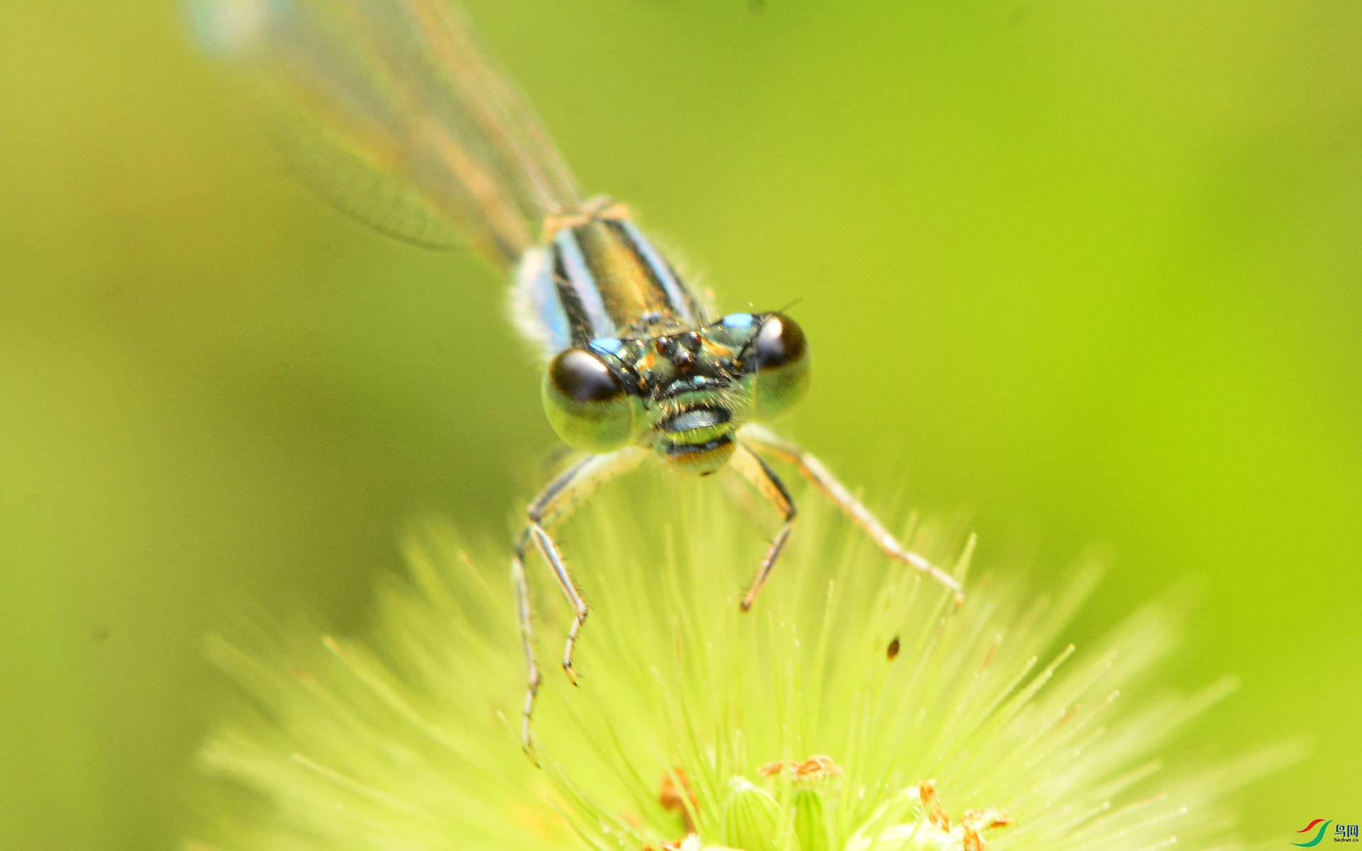 ������Ӱ 842����.jpg